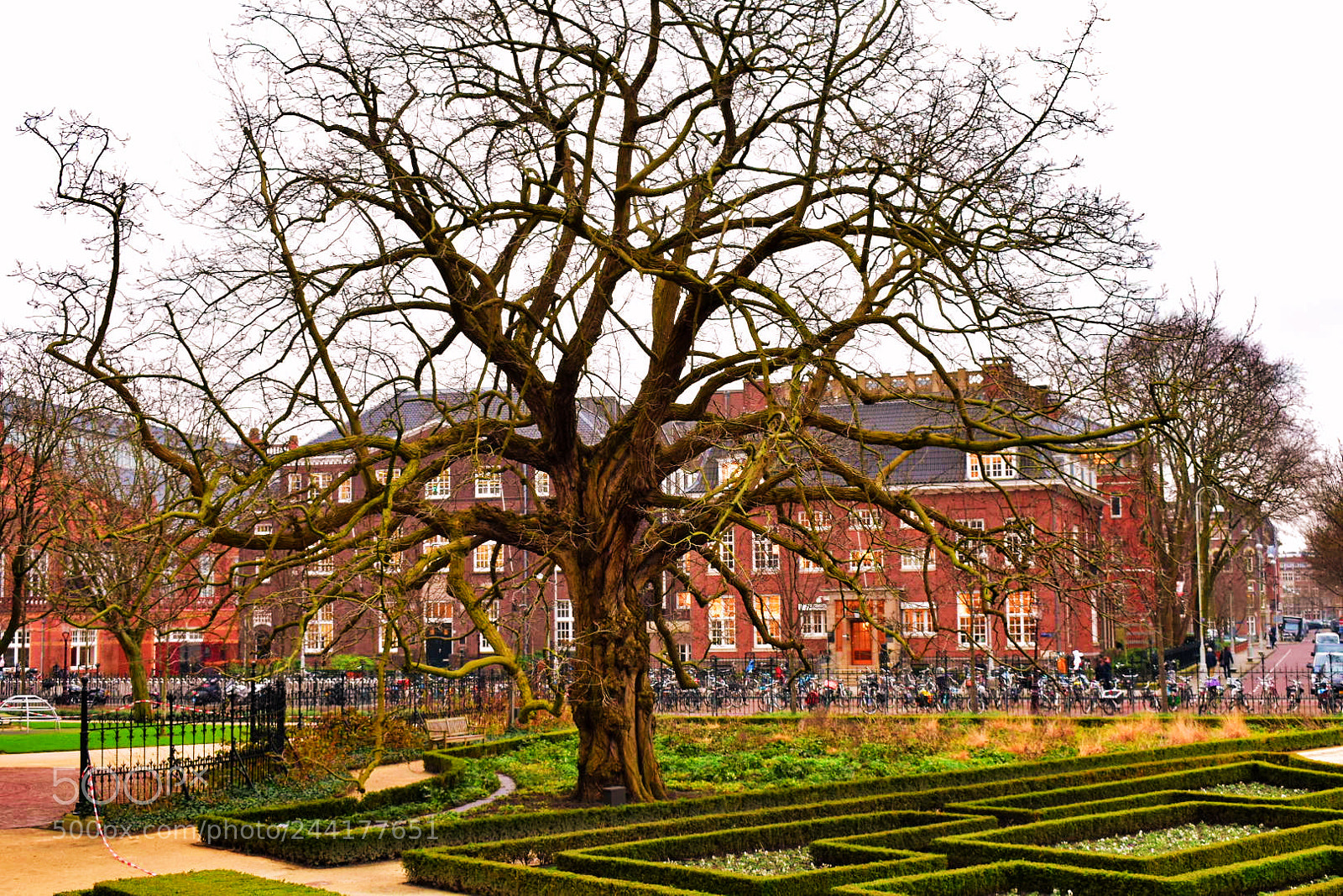 Nikon D3400 sample photo. Amsterdam photography
