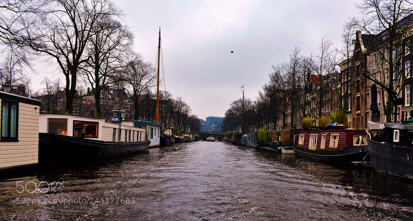 Nikon D3400 sample photo. Amsterdam photography