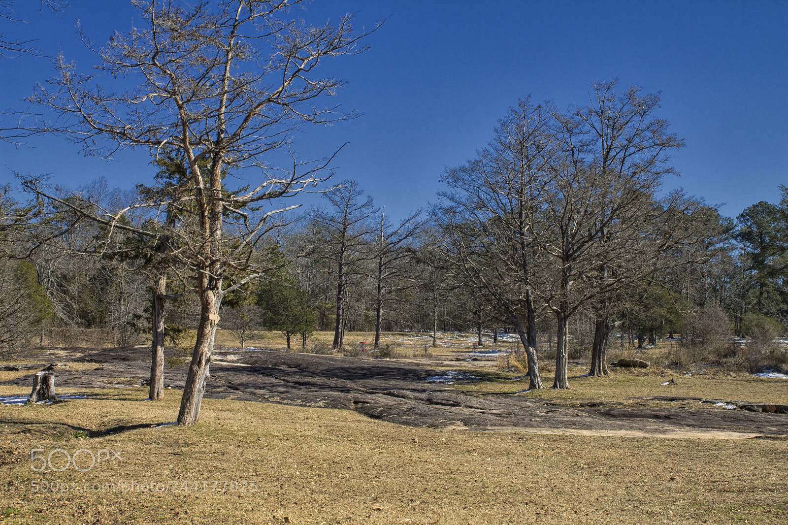 Canon EOS 1100D (EOS Rebel T3 / EOS Kiss X50) sample photo. A cold clear winter's photography