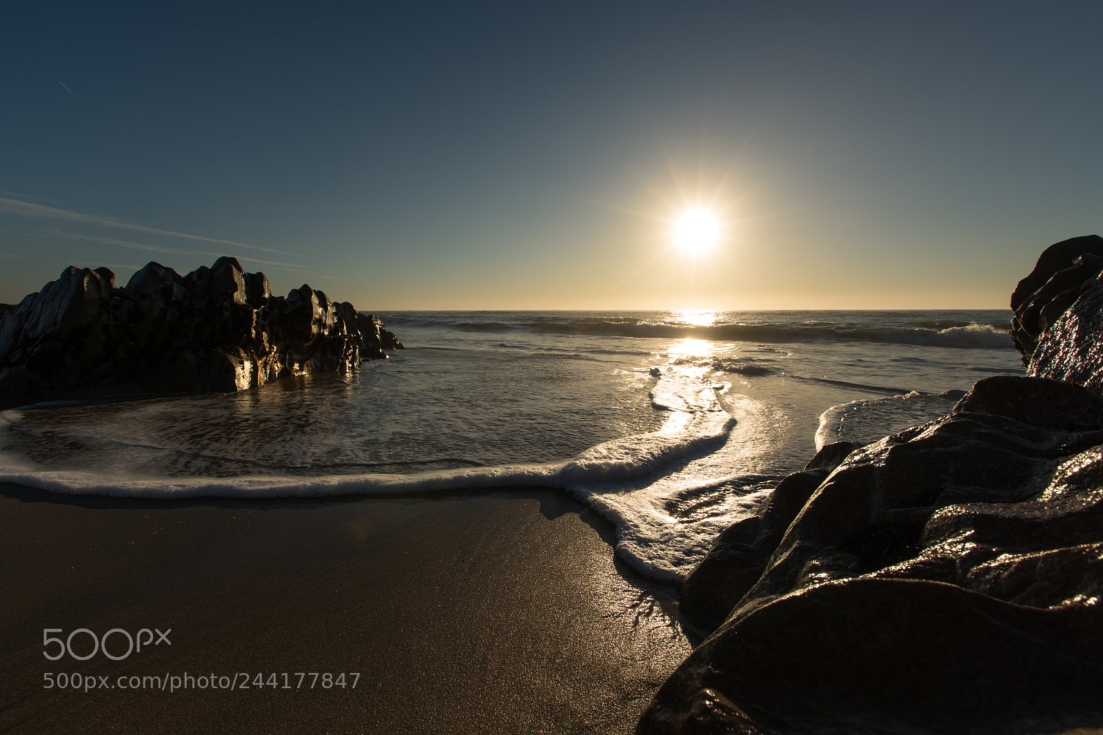 Sony a7R II sample photo. Untitled photography