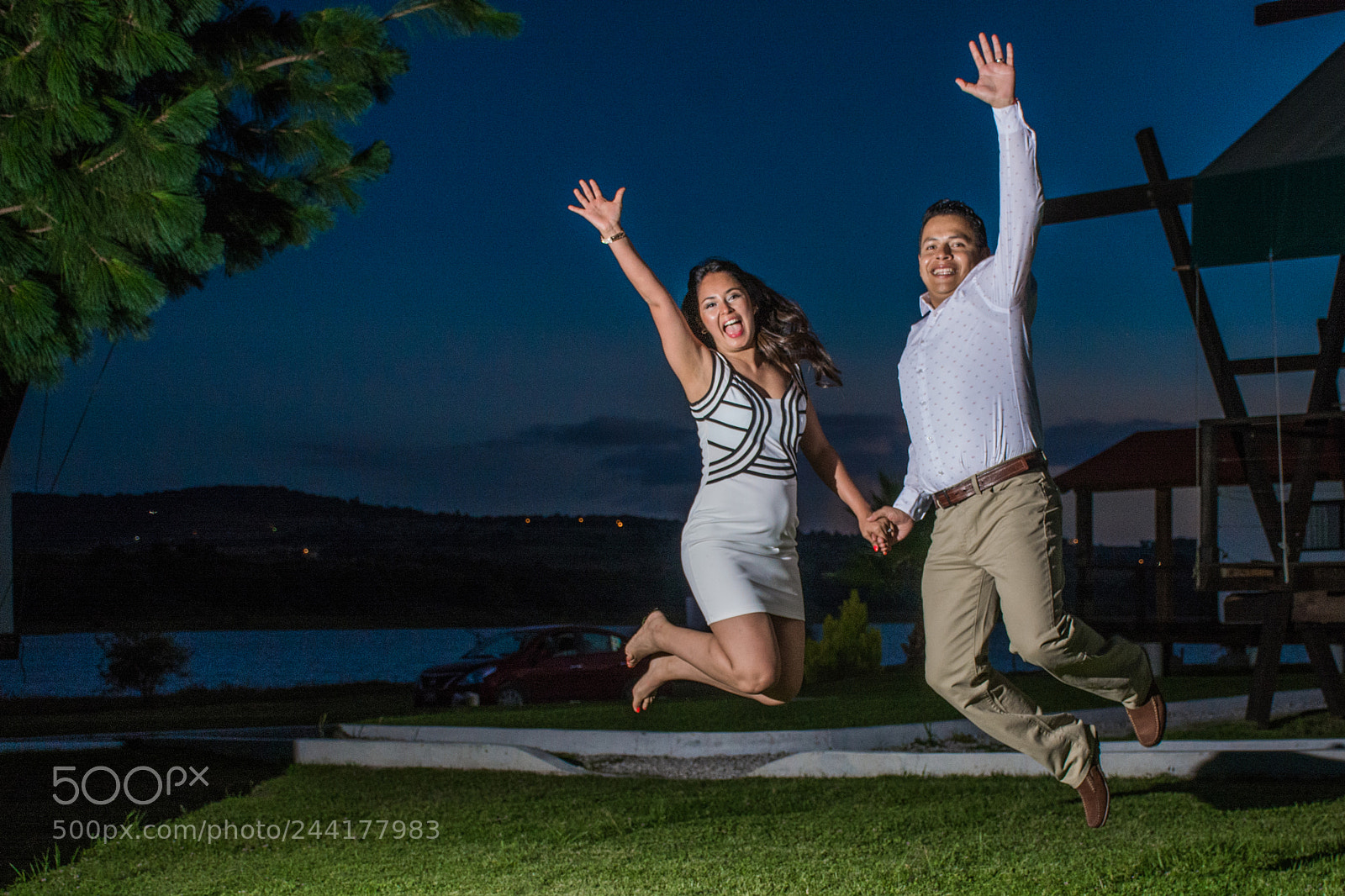Nikon D7100 sample photo. Lyo photography