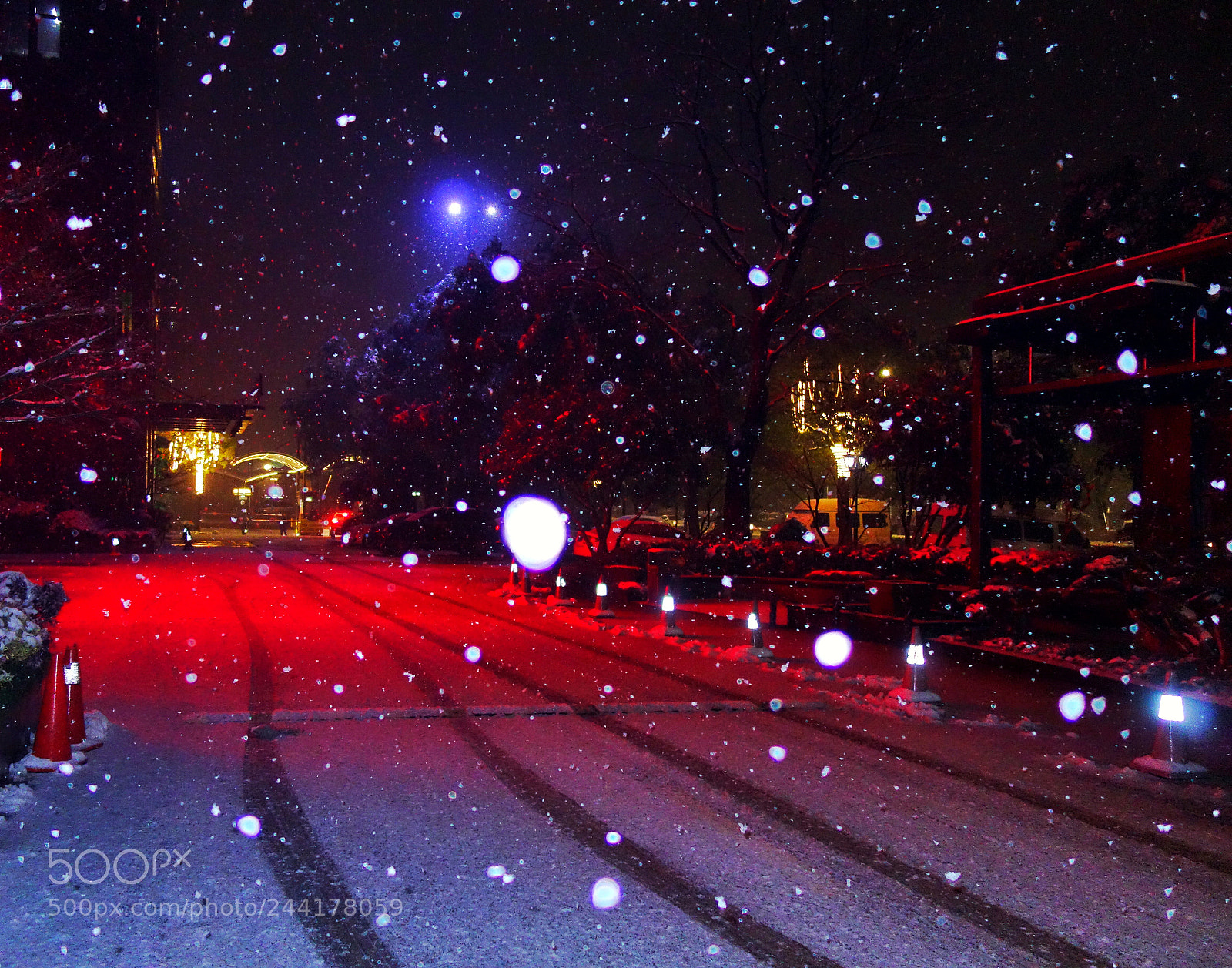 Sony Cyber-shot DSC-RX100 sample photo. 雪似繁星 photography