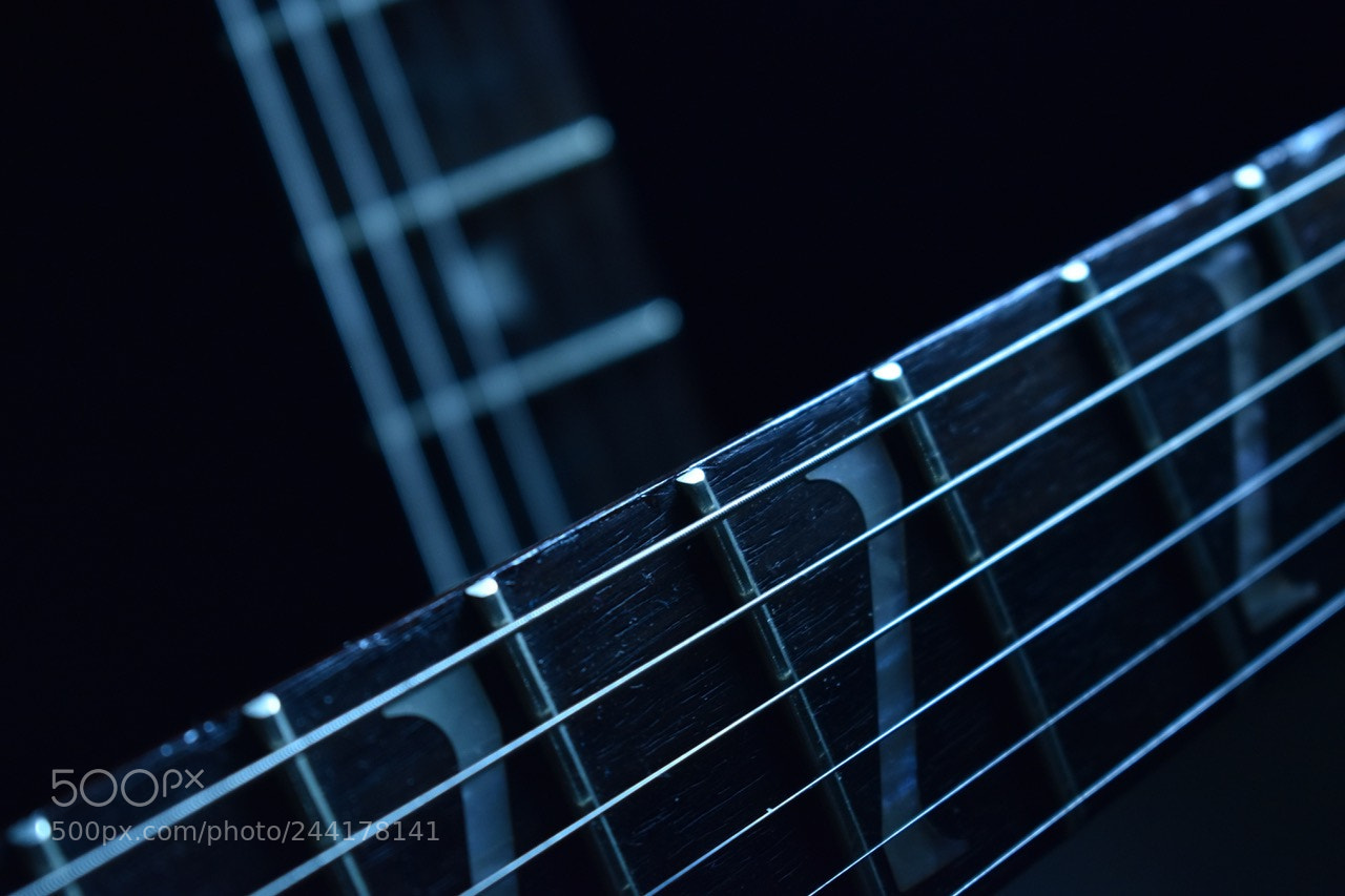 Nikon D5500 sample photo. Untitled photography