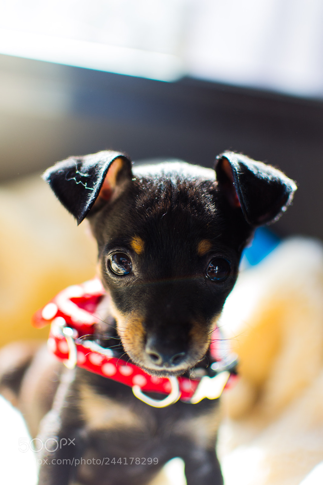 Nikon D3100 sample photo. Quim photography
