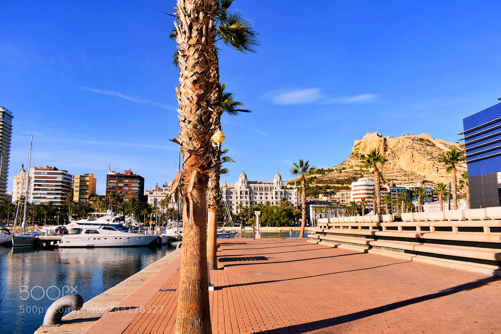 Nikon D3400 sample photo. Alicante photography
