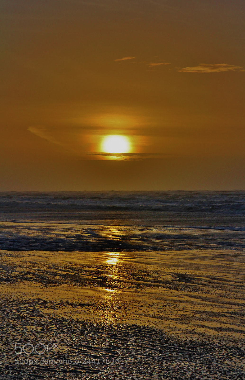 Canon EOS 60D sample photo. Windy sunset photography