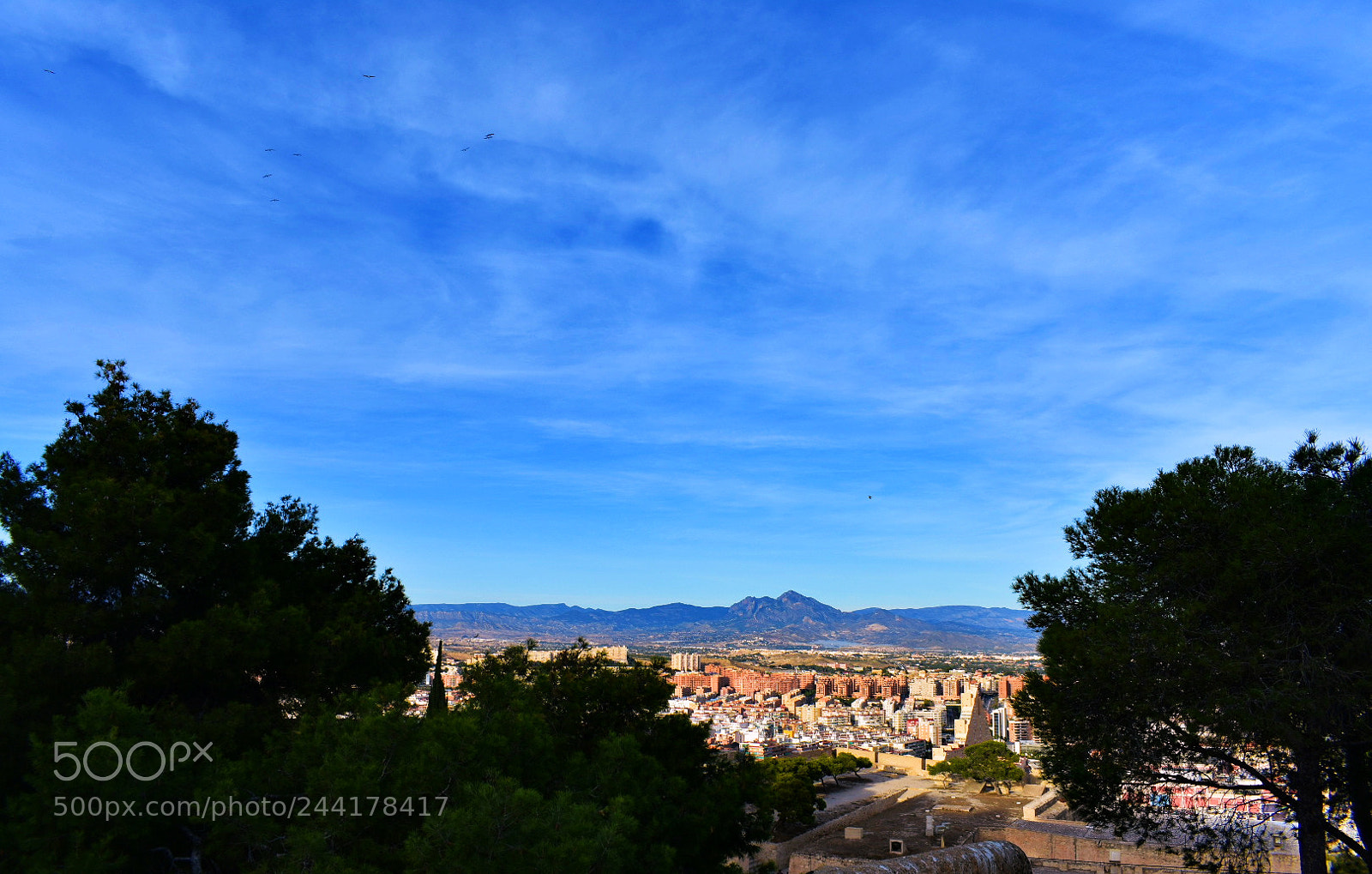 Nikon D3400 sample photo. Alicante photography