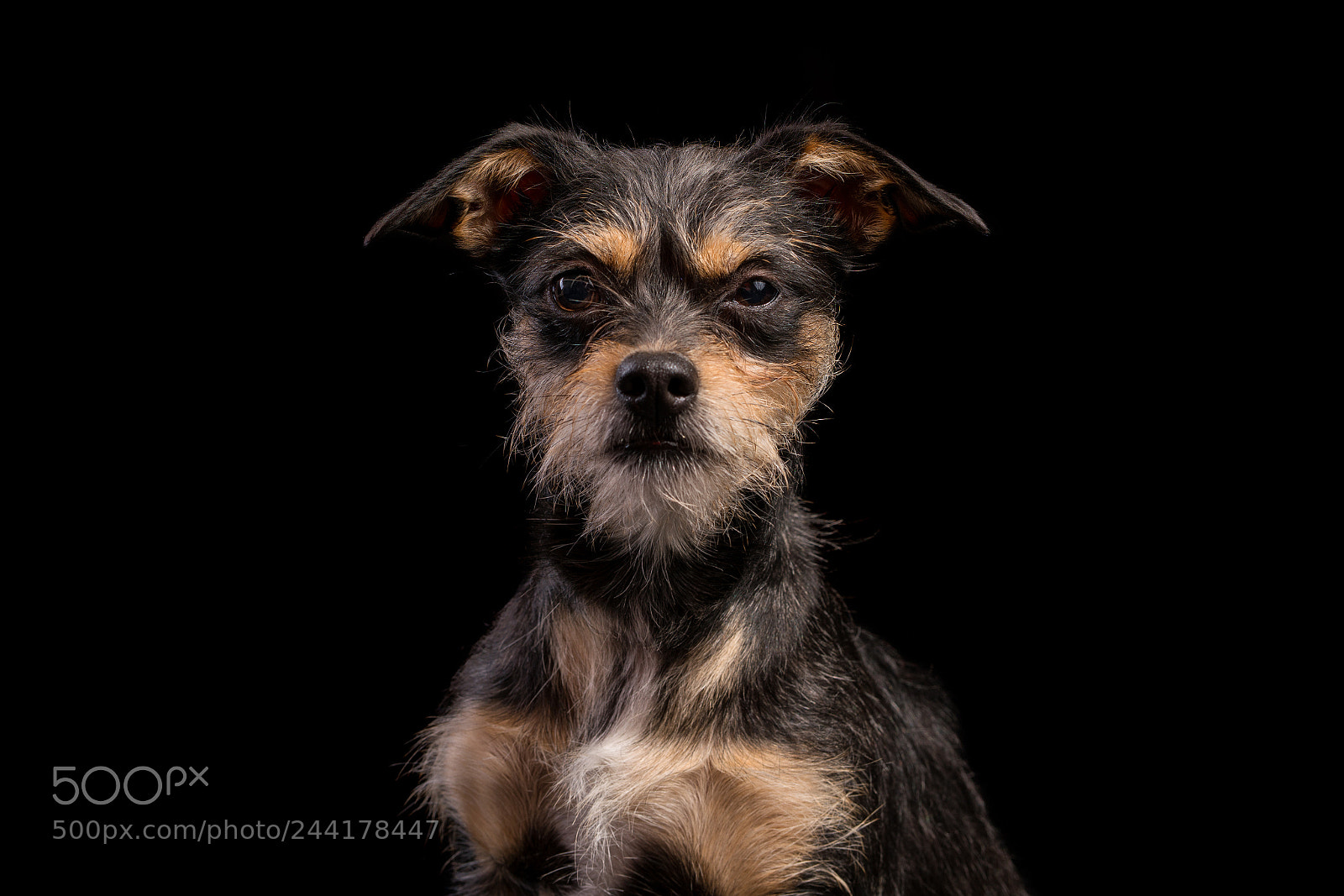 Sony a7R II sample photo. Smokey photography