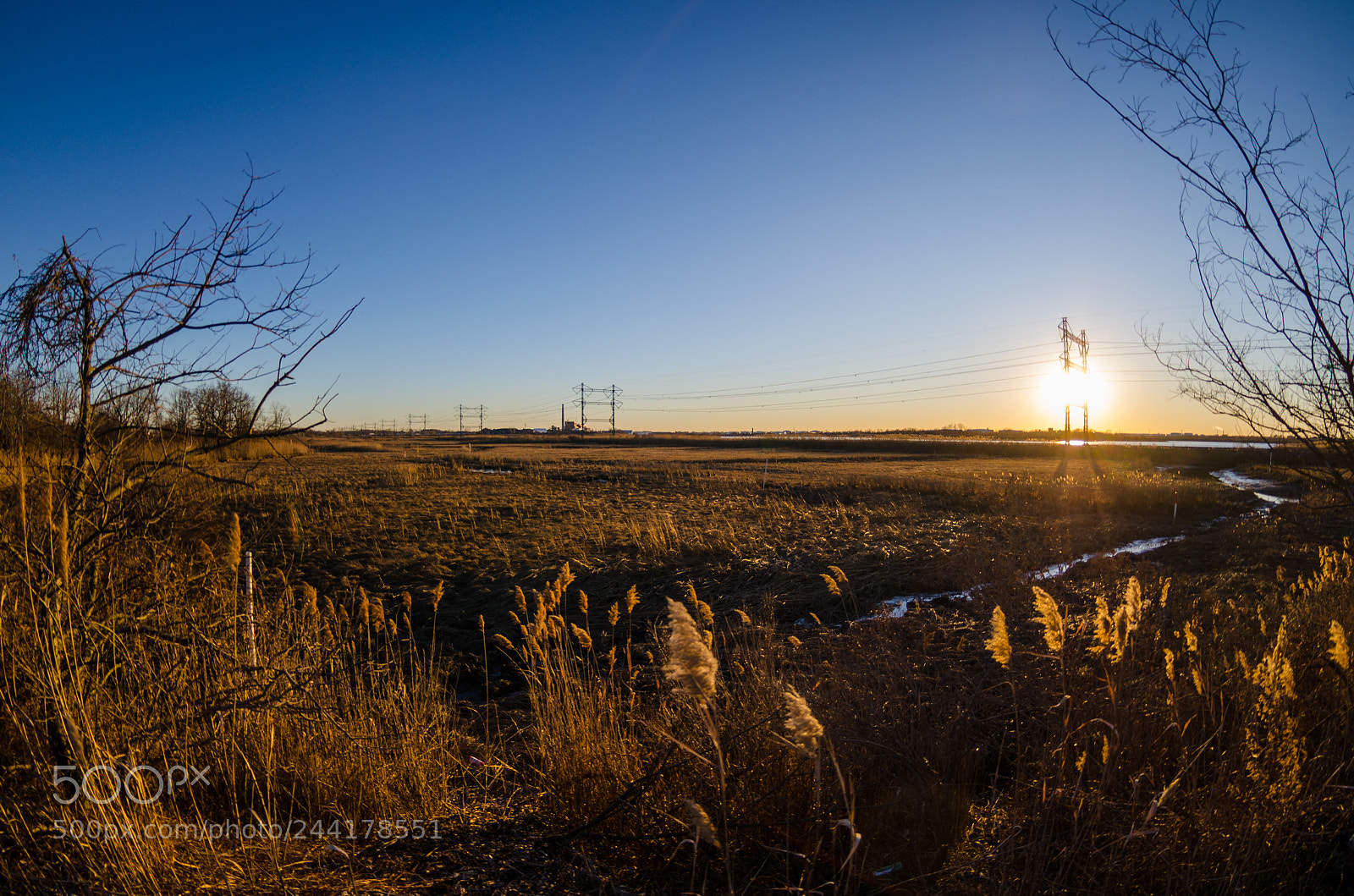 Nikon D5100 sample photo. West shore photography