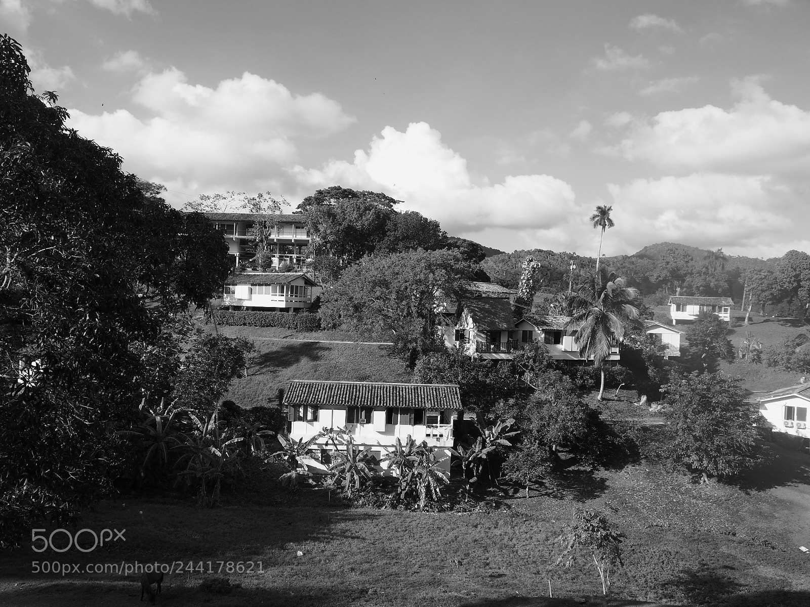 Olympus OM-D E-M10 II sample photo. Las terrazas. pinar del photography