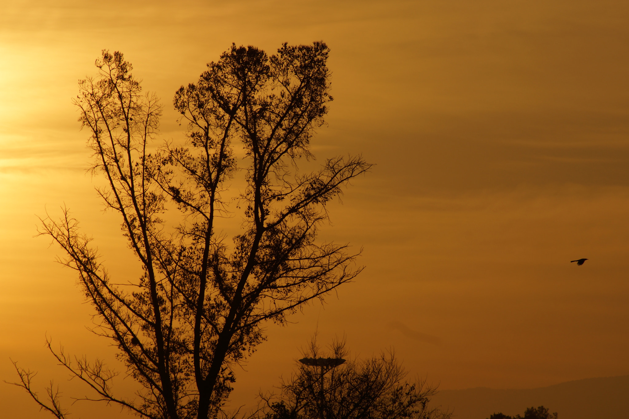 Sony 75-300mm F4.5-5.6 sample photo. Dsc photography