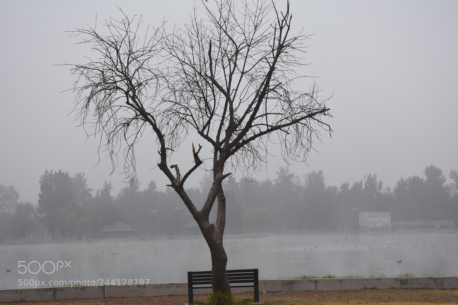 Nikon D7200 sample photo. Ava photography