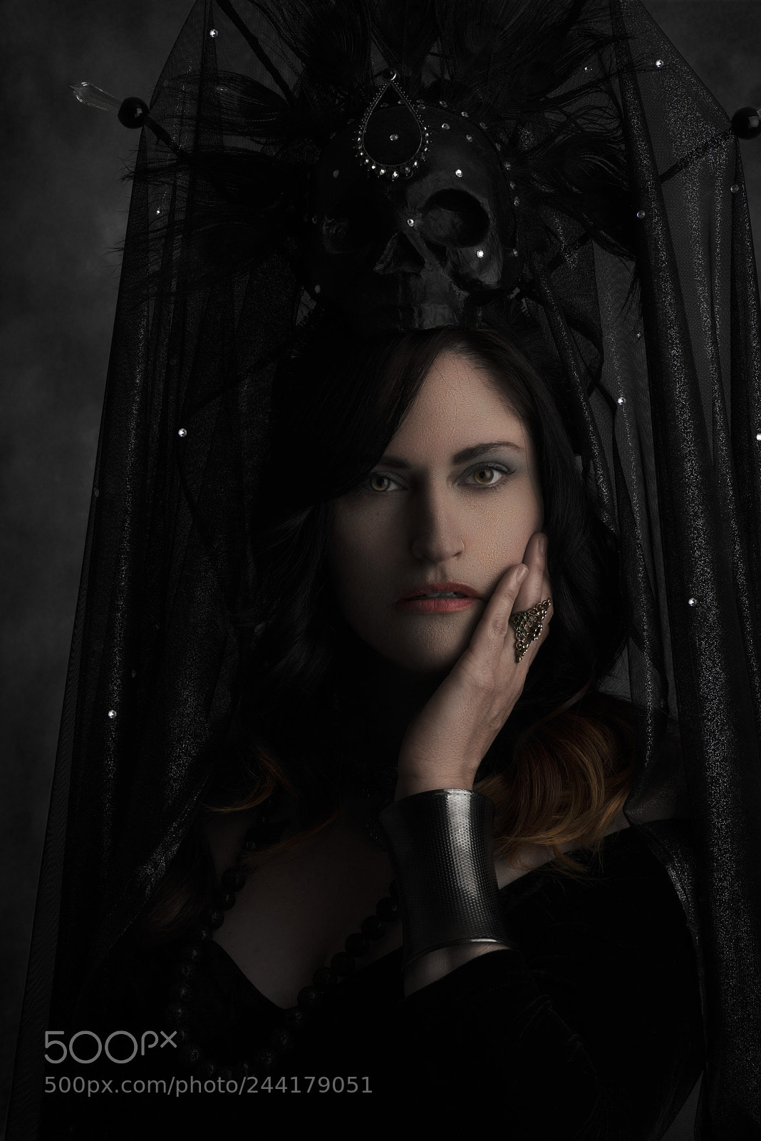 Nikon D810 sample photo. The queen photography