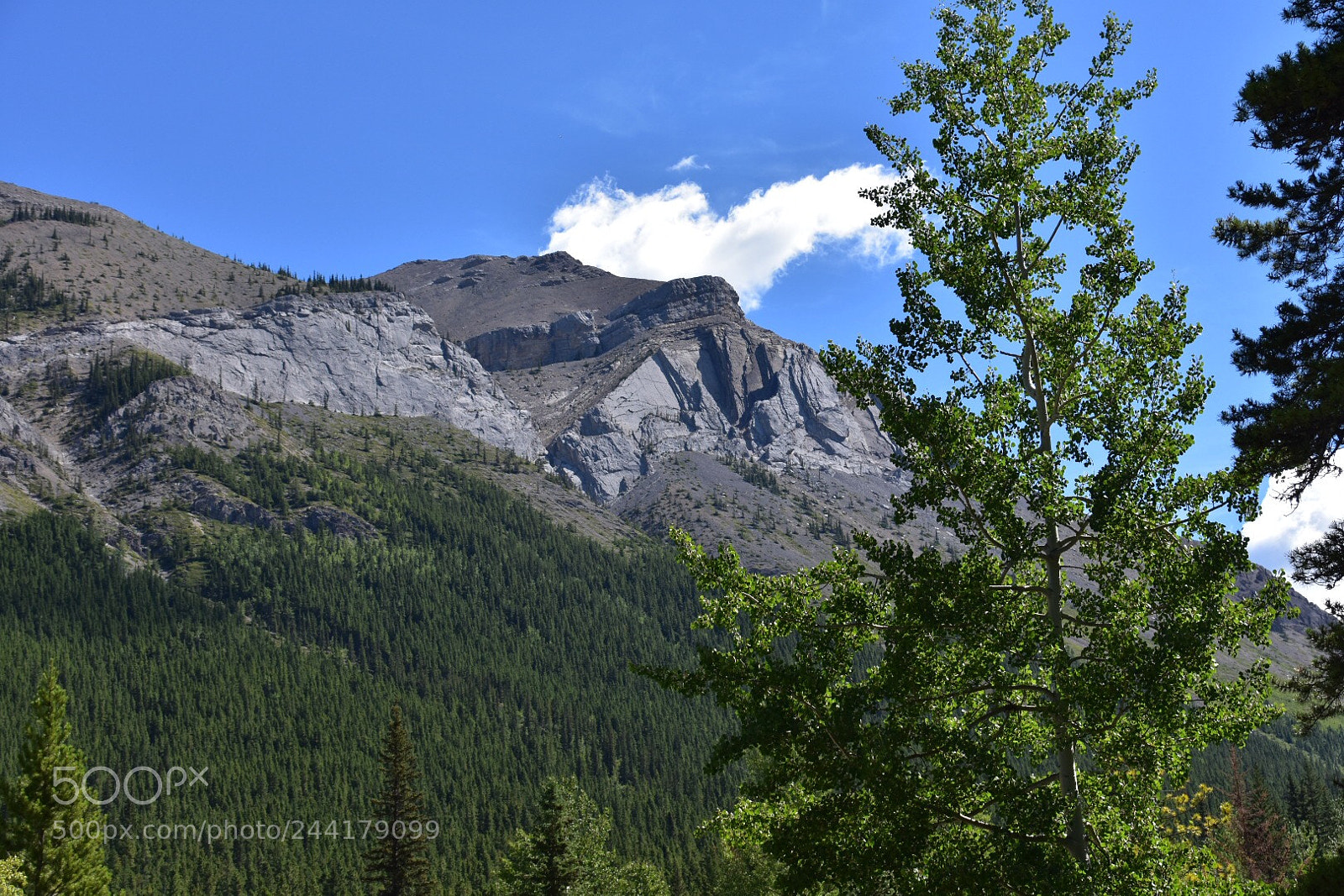 Nikon D7200 sample photo. Untitled photography
