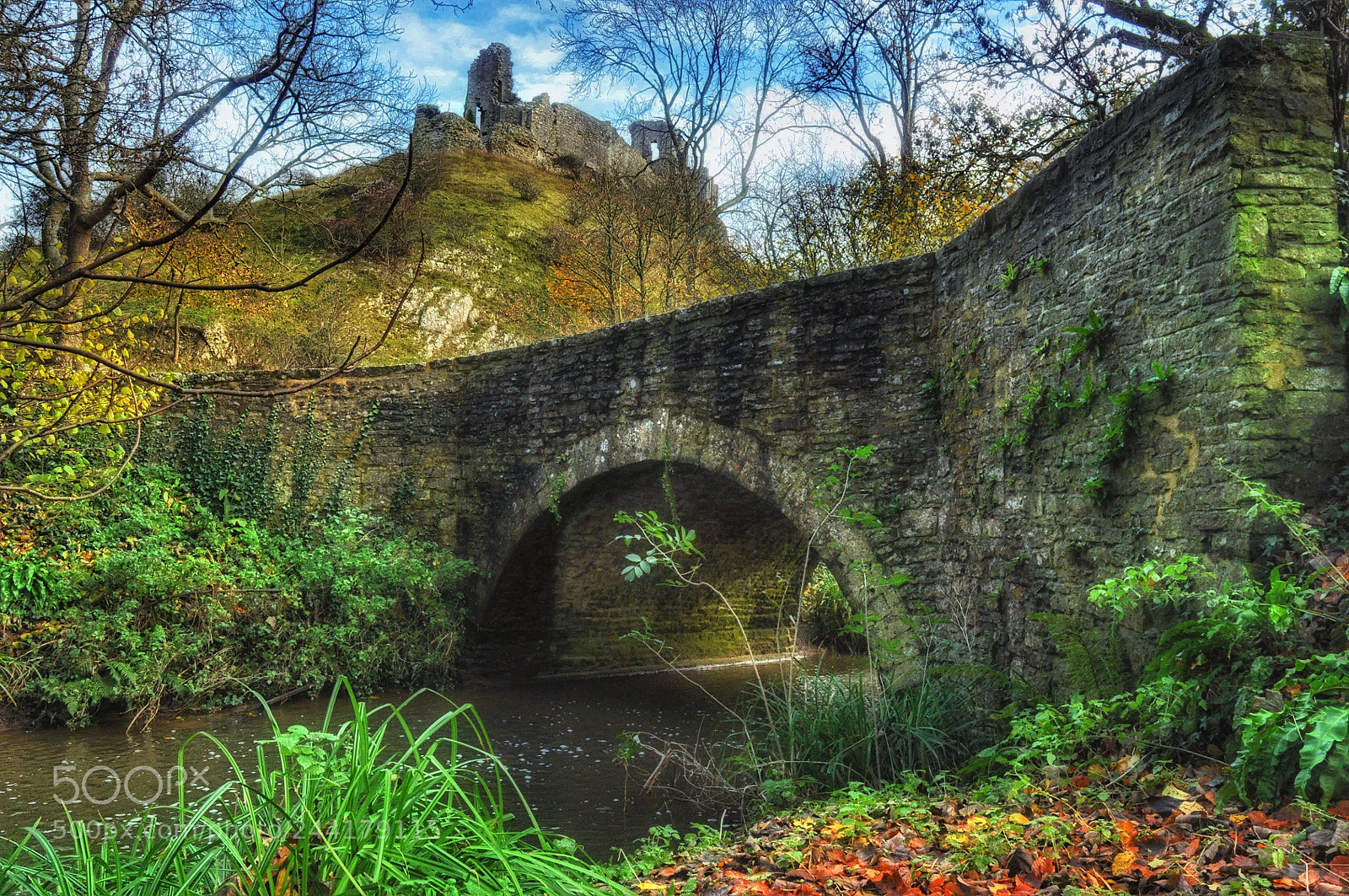 Nikon D90 sample photo. Bridge for castle  photography