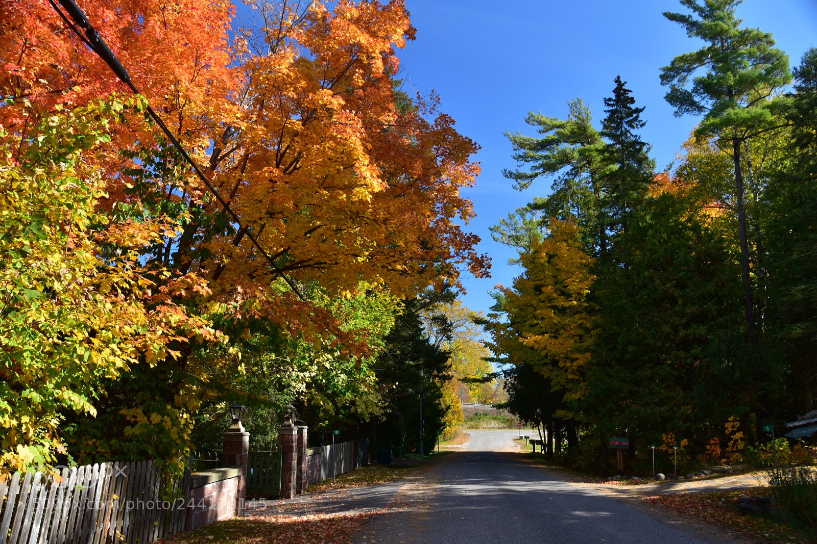 Nikon D7200 sample photo. Untitled photography