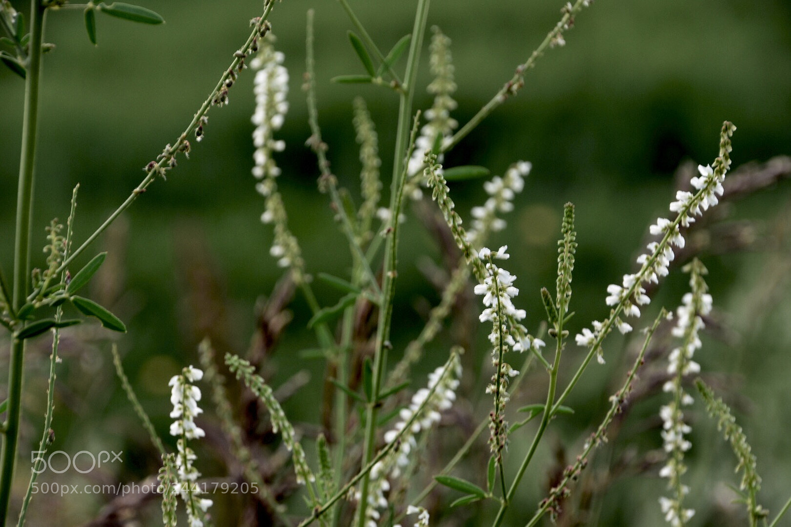 Nikon D7200 sample photo. Untitled photography