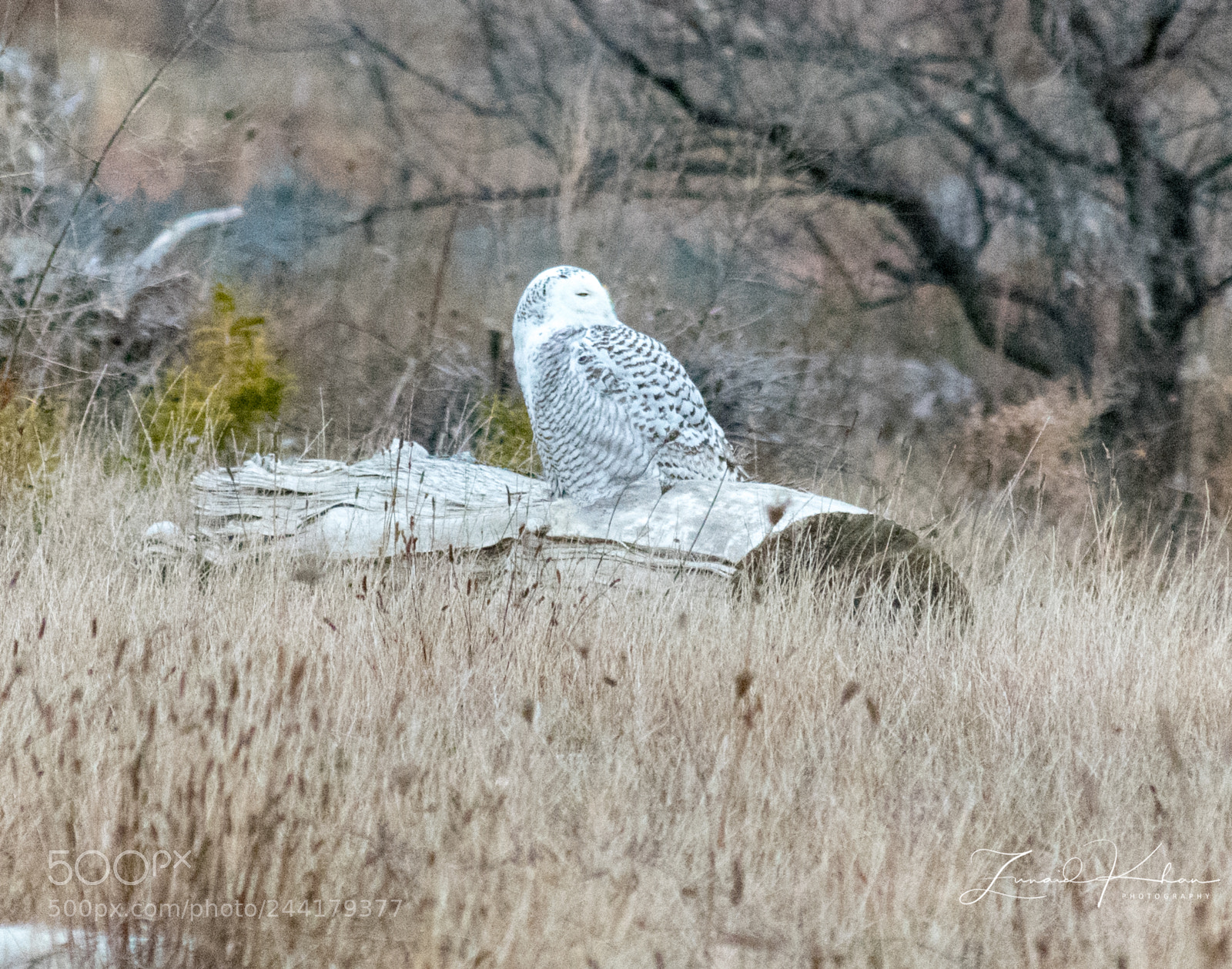 Nikon D3400 sample photo. So beautiful photography