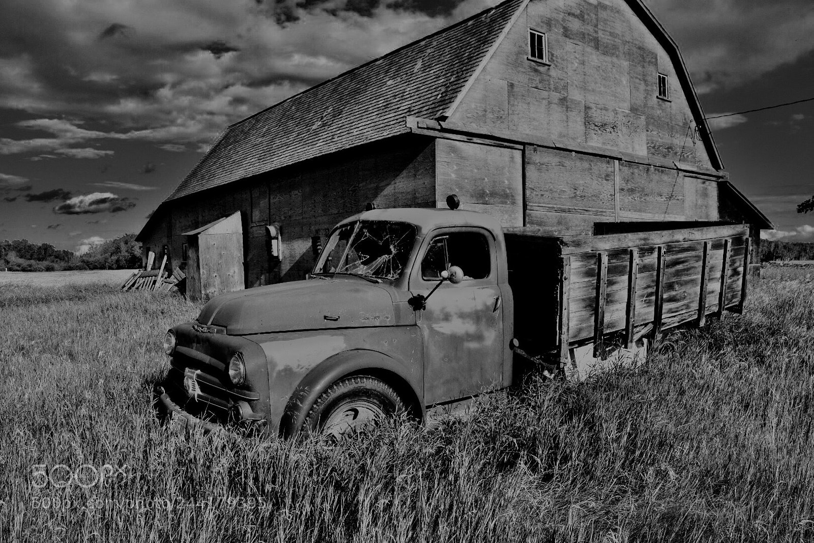 Nikon D7200 sample photo. Untitled photography