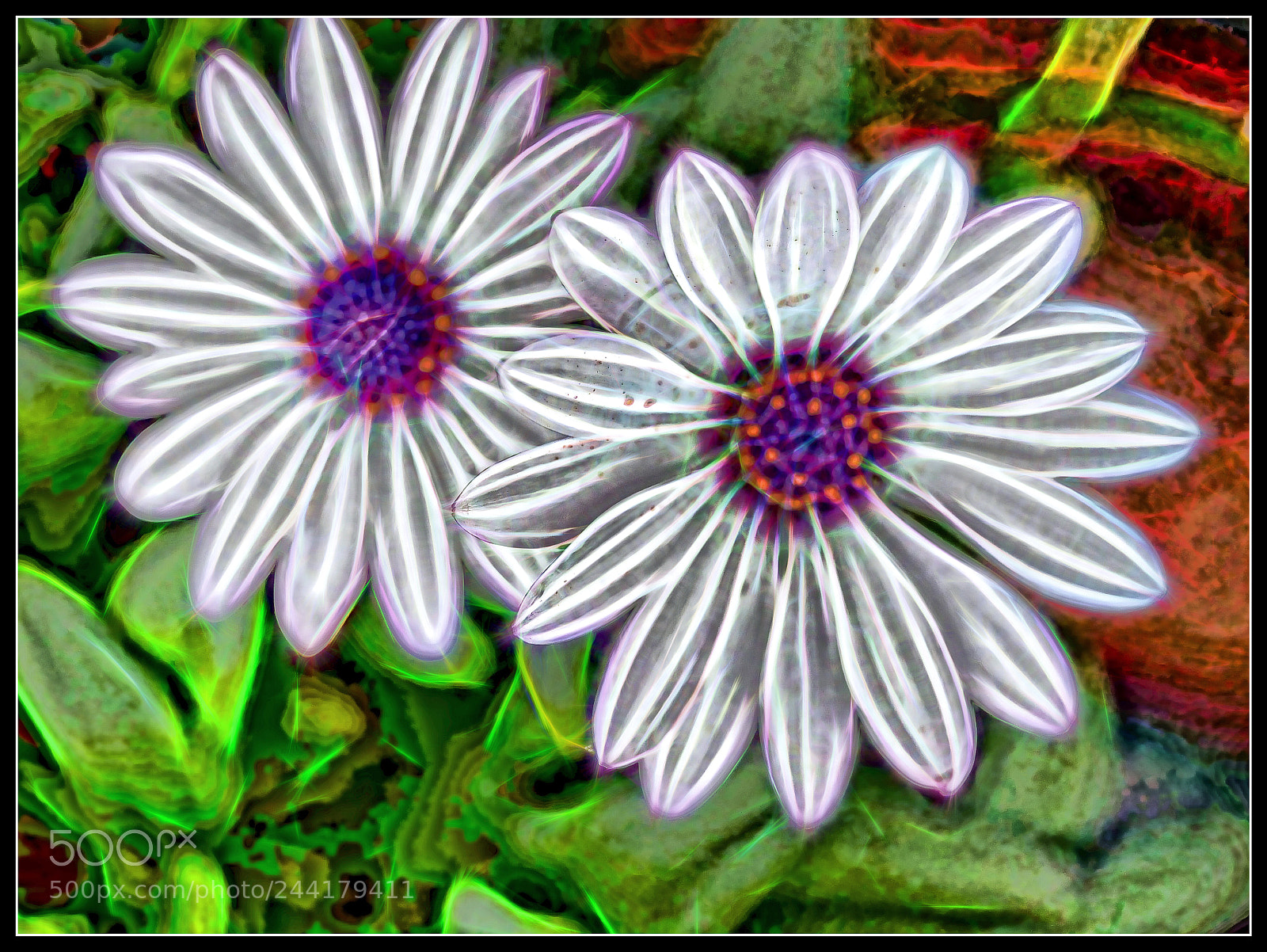 Panasonic Lumix DMC-G85 (Lumix DMC-G80) sample photo. Nature artwork photography