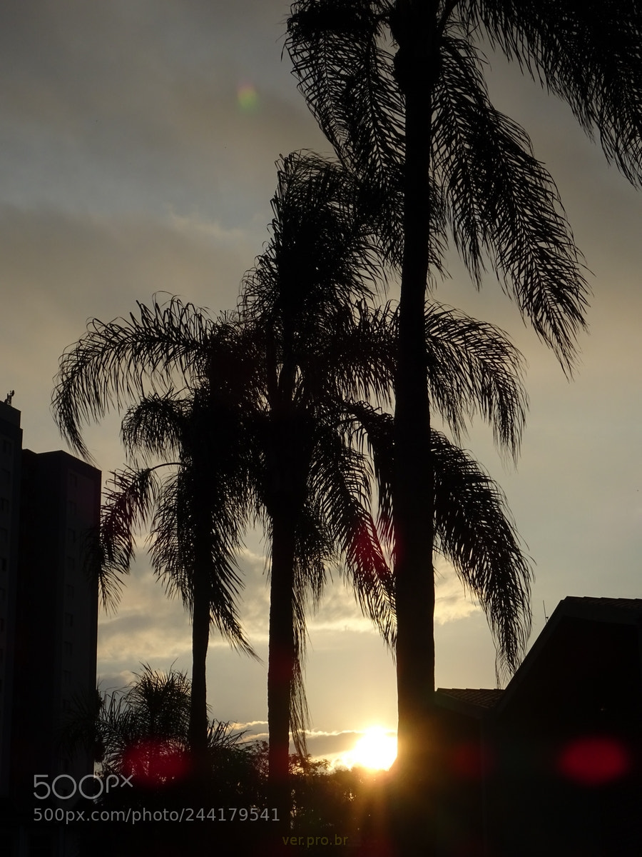 Sony DSC-HX60V sample photo. Pôr do sol photography