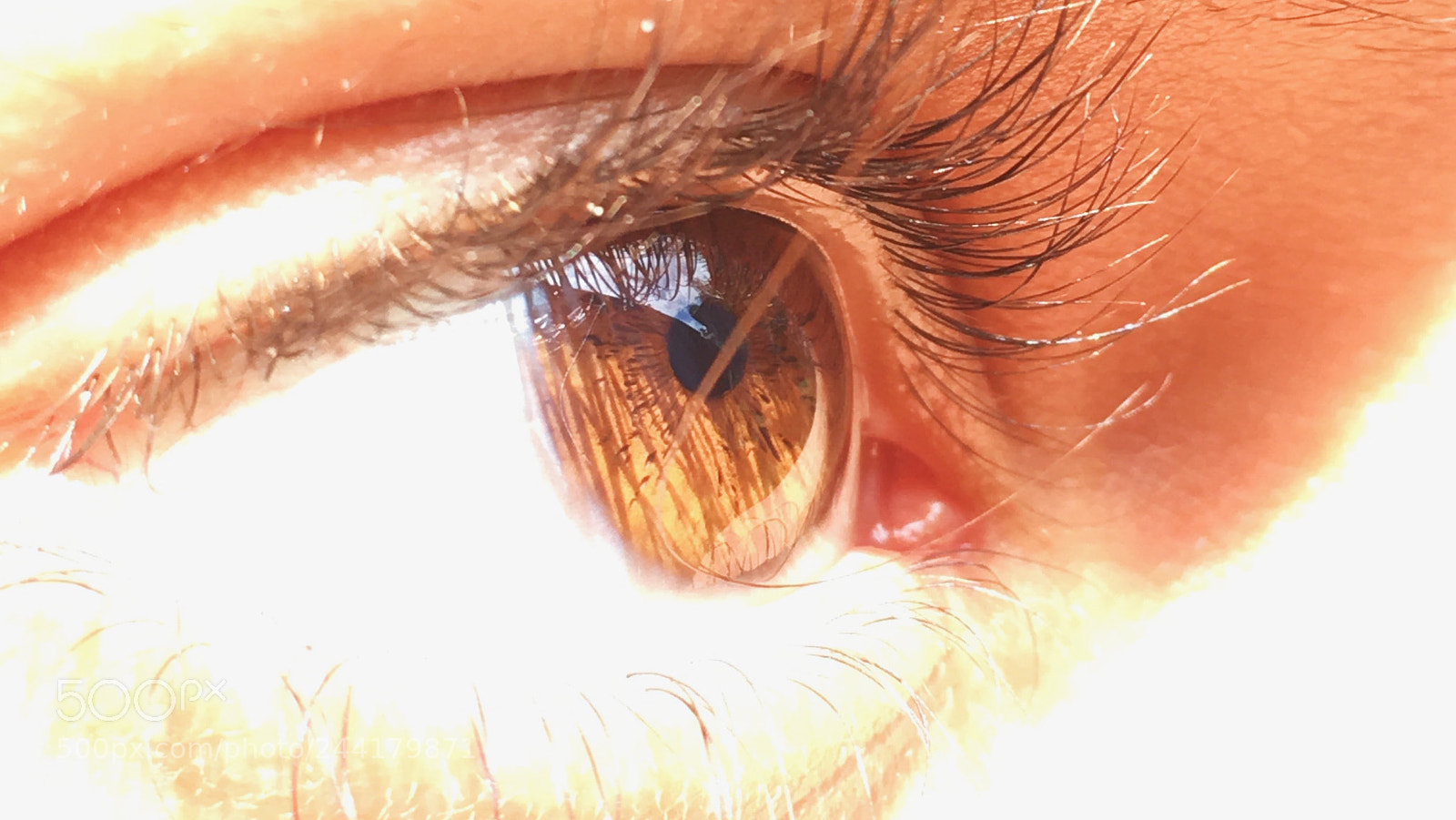 Apple iPhone 6s sample photo. Untitled photography