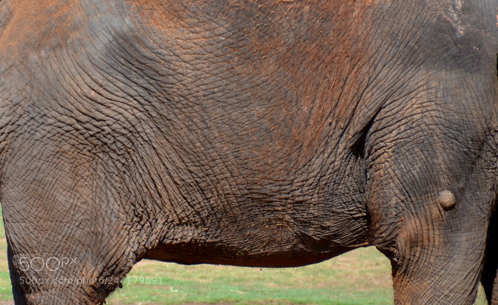 Nikon D5100 sample photo. Wrinkles photography