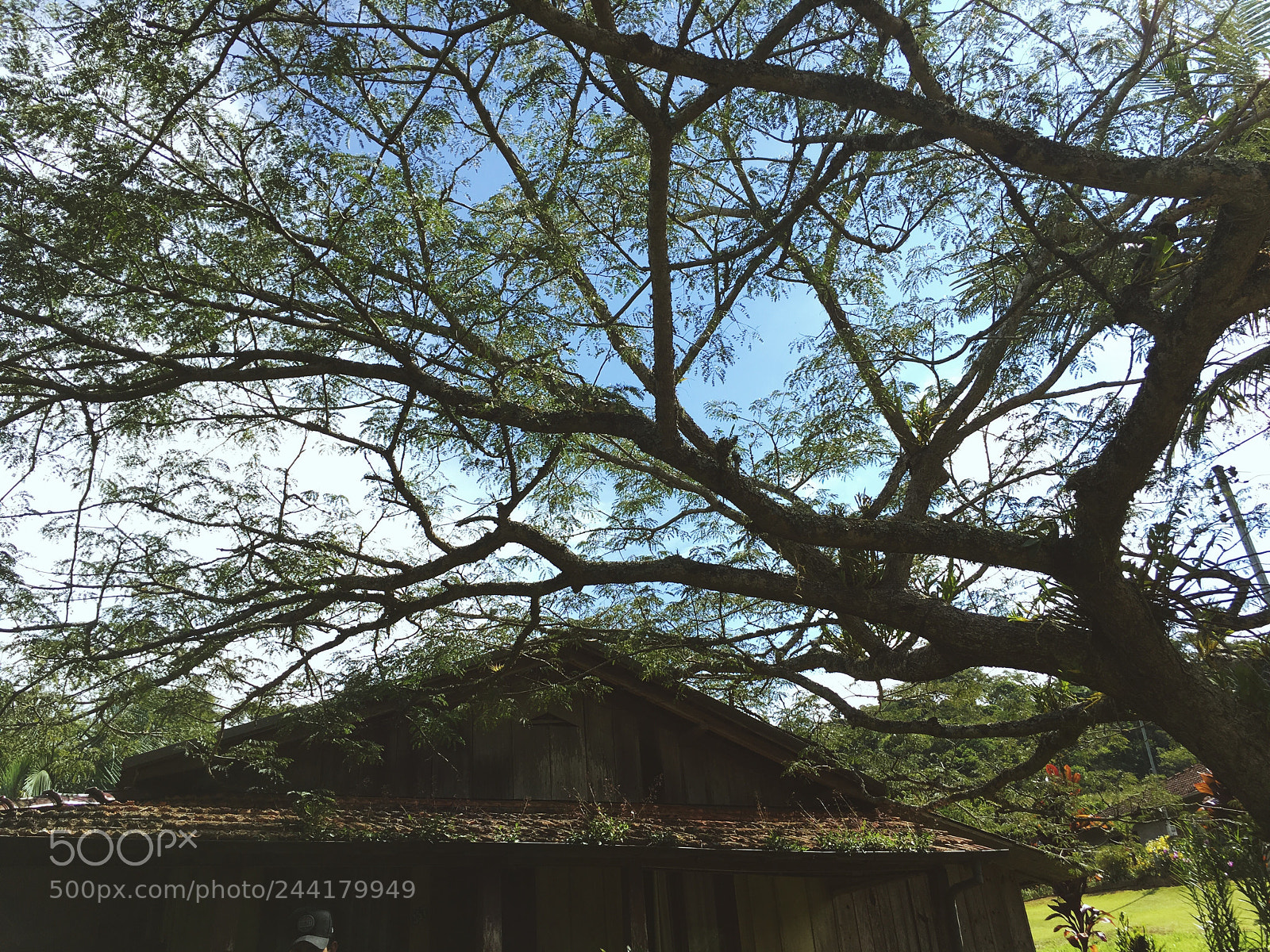 Apple iPhone 6s sample photo. Untitled photography