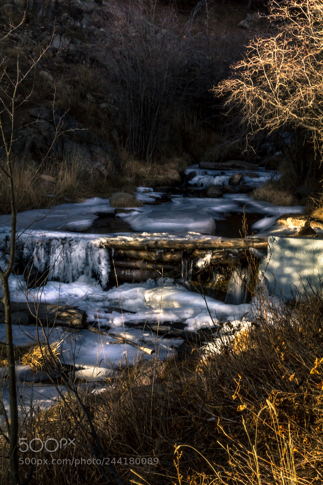 Canon EOS 60D sample photo. Untitled photography