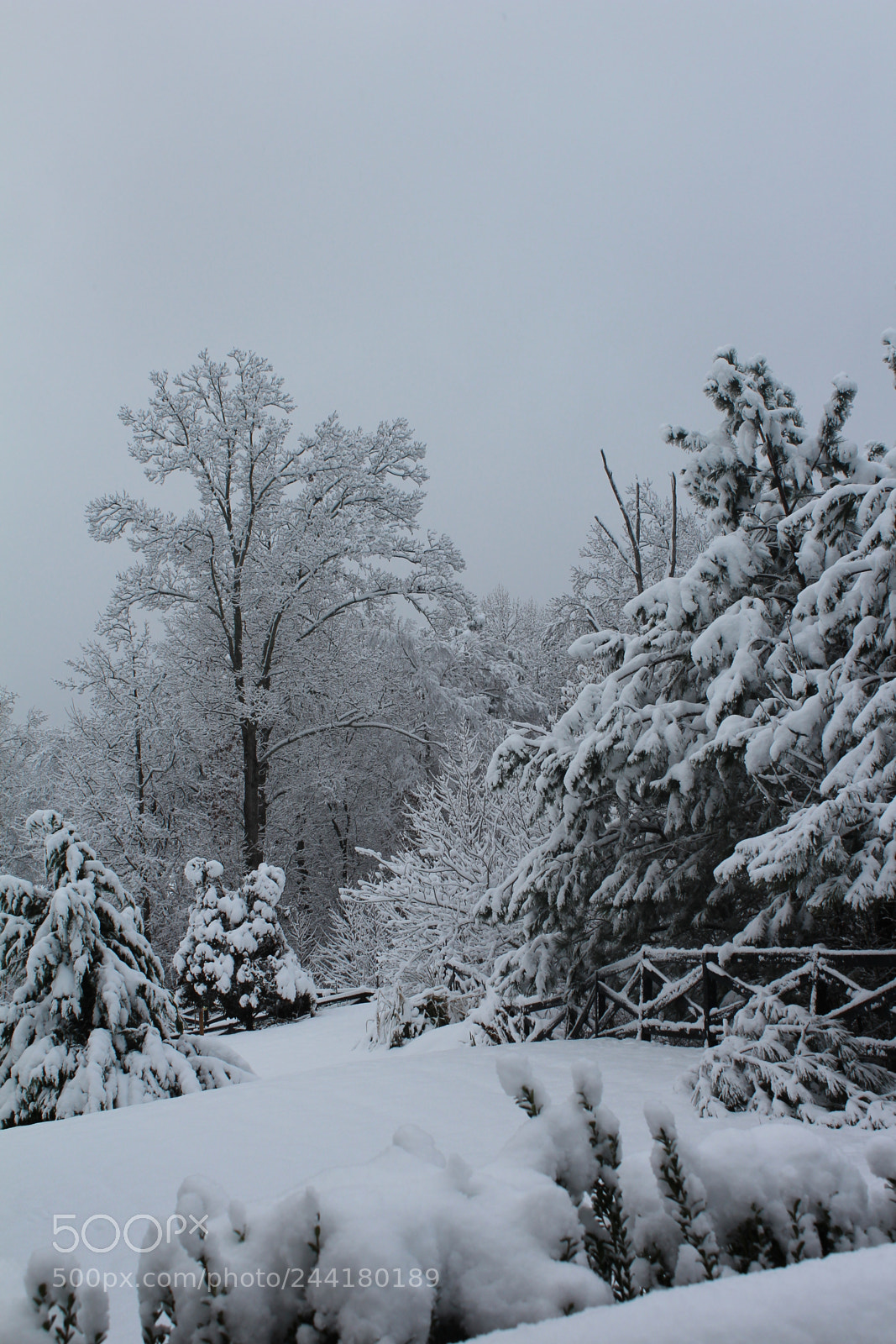 Canon EOS 1200D (EOS Rebel T5 / EOS Kiss X70 / EOS Hi) sample photo. Winter wonder photography