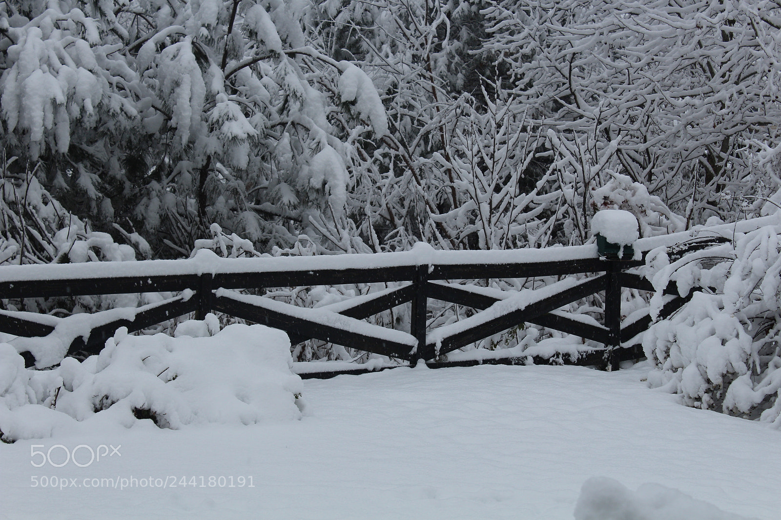 Canon EOS 1200D (EOS Rebel T5 / EOS Kiss X70 / EOS Hi) sample photo. Snowy fence photography
