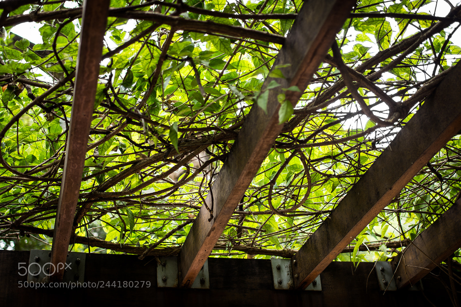 Nikon D7200 sample photo. Textures 2 photography