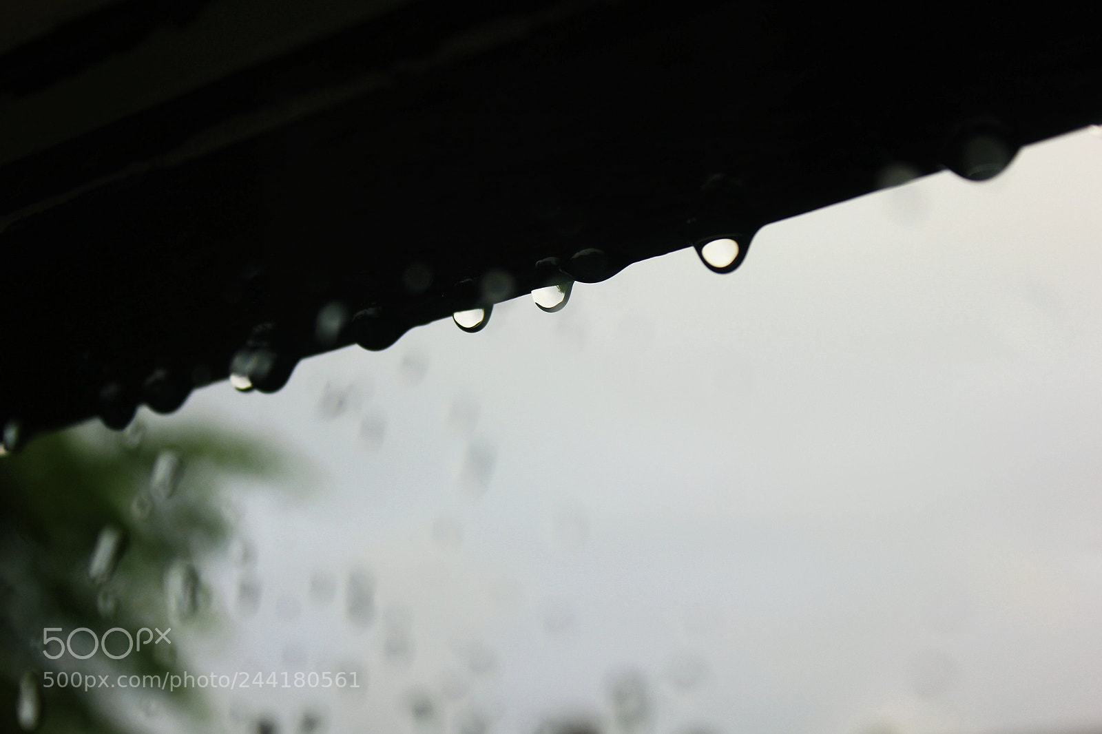 Canon EOS 550D (EOS Rebel T2i / EOS Kiss X4) sample photo. Rain drops photography
