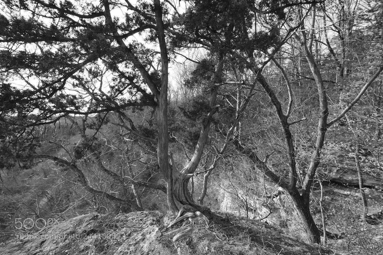 Fujifilm X-Pro2 sample photo. Lewis and clark hiking photography