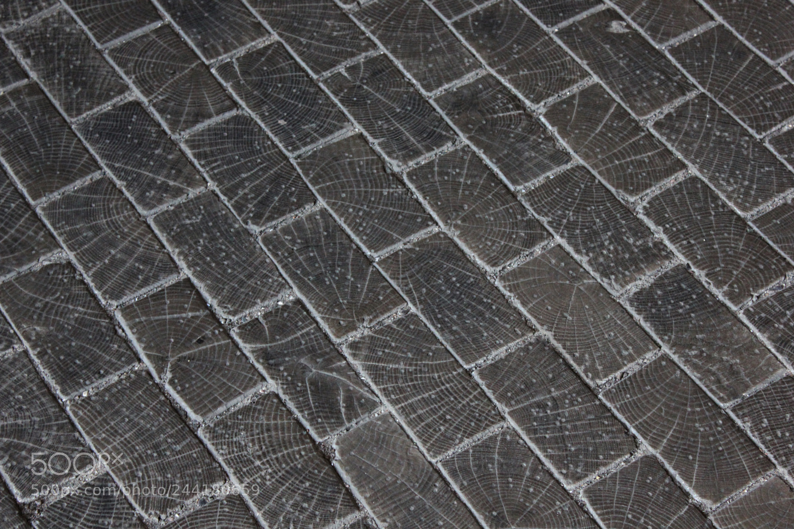 Canon EOS 550D (EOS Rebel T2i / EOS Kiss X4) sample photo. Floor photography