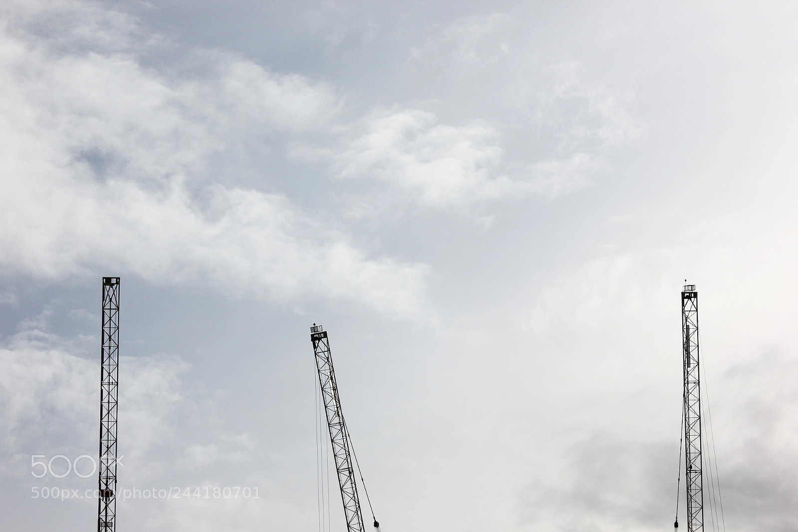 Canon EOS 550D (EOS Rebel T2i / EOS Kiss X4) sample photo. Cranes photography