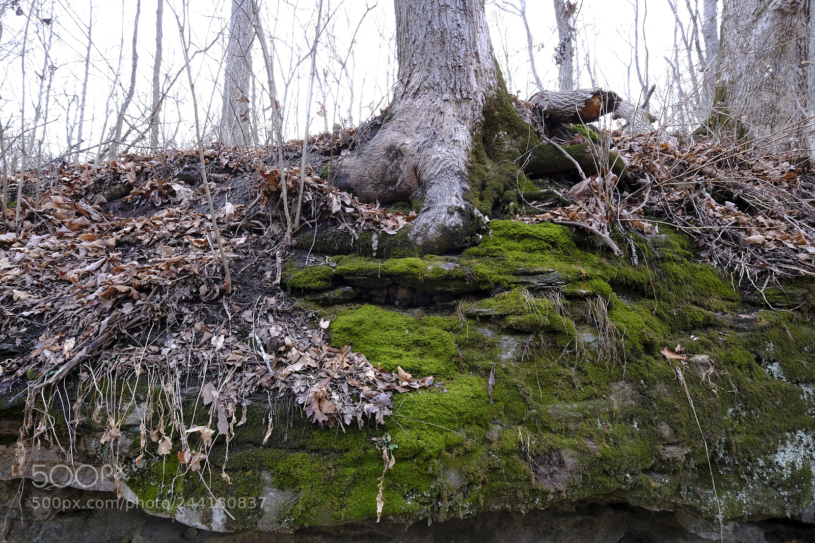 Fujifilm X-Pro2 sample photo. Lewis and clark hiking photography