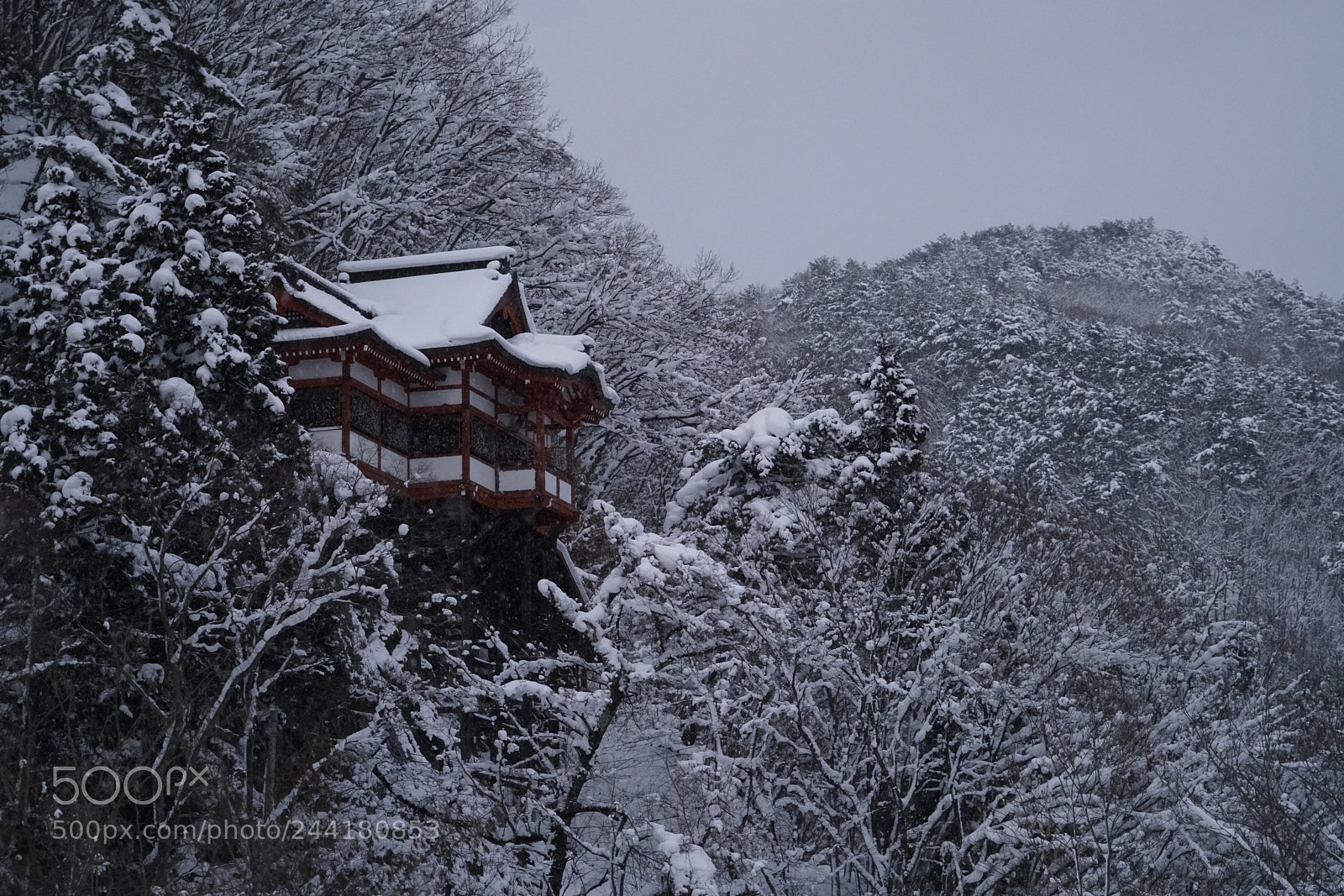Sony a7R II sample photo. Untitled photography