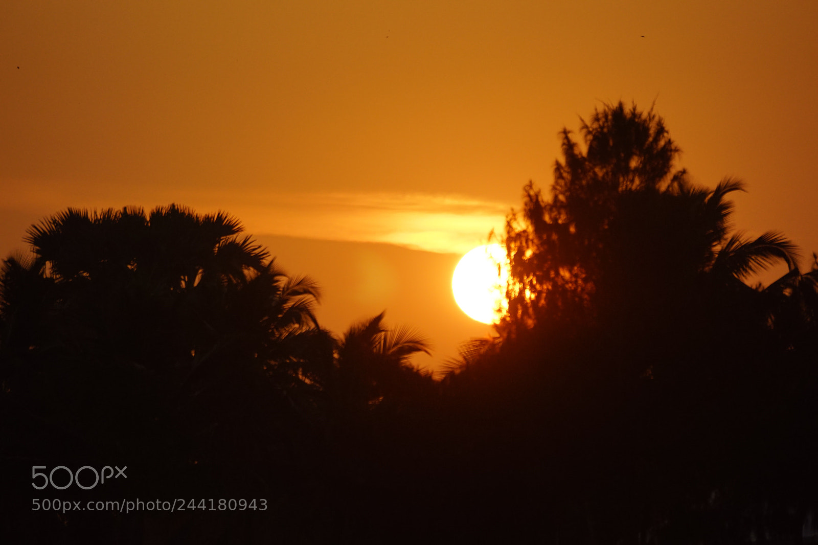 Sony SLT-A68 sample photo. Sunrise in goa!! photography