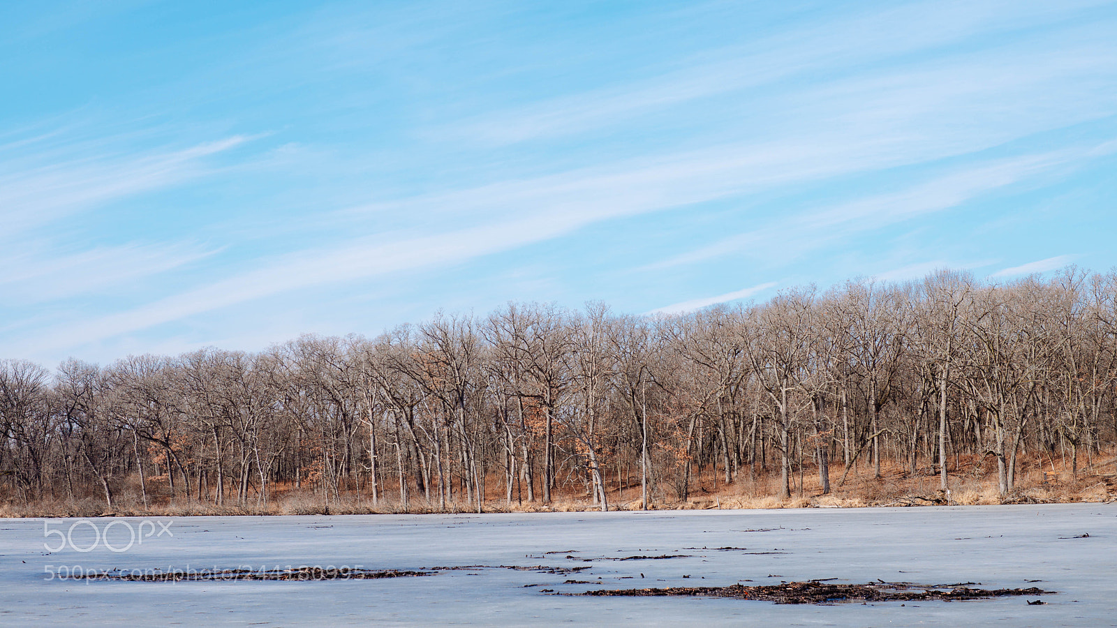 Leica M (Typ 240) sample photo. Winter light photography