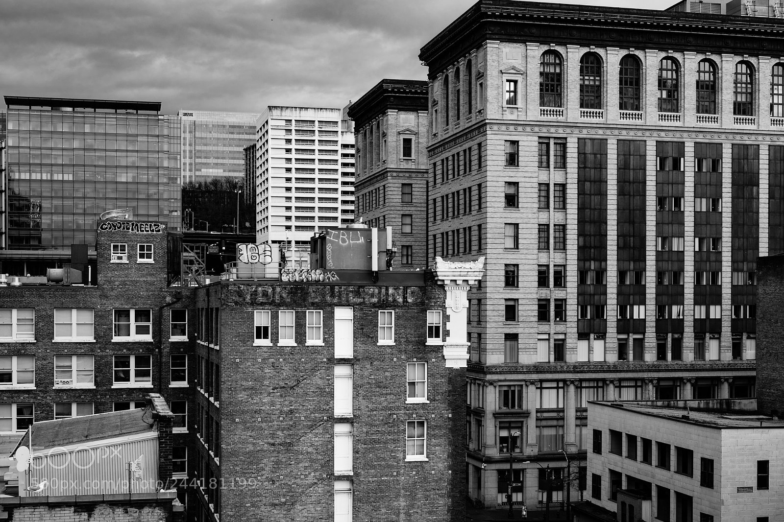 Fujifilm X-T2 sample photo. Cement jungle photography