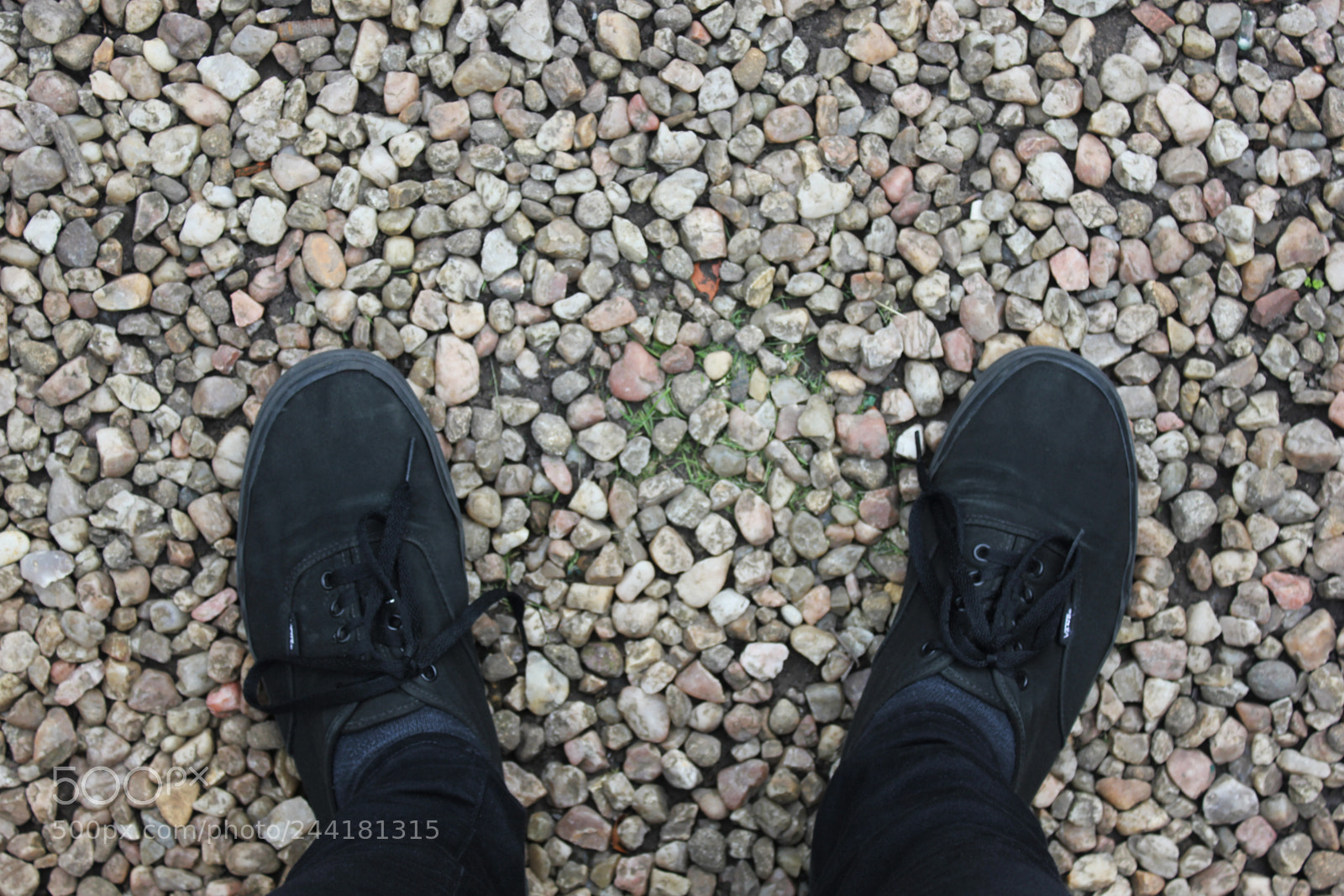 Canon EOS 550D (EOS Rebel T2i / EOS Kiss X4) sample photo. 6/10b photography