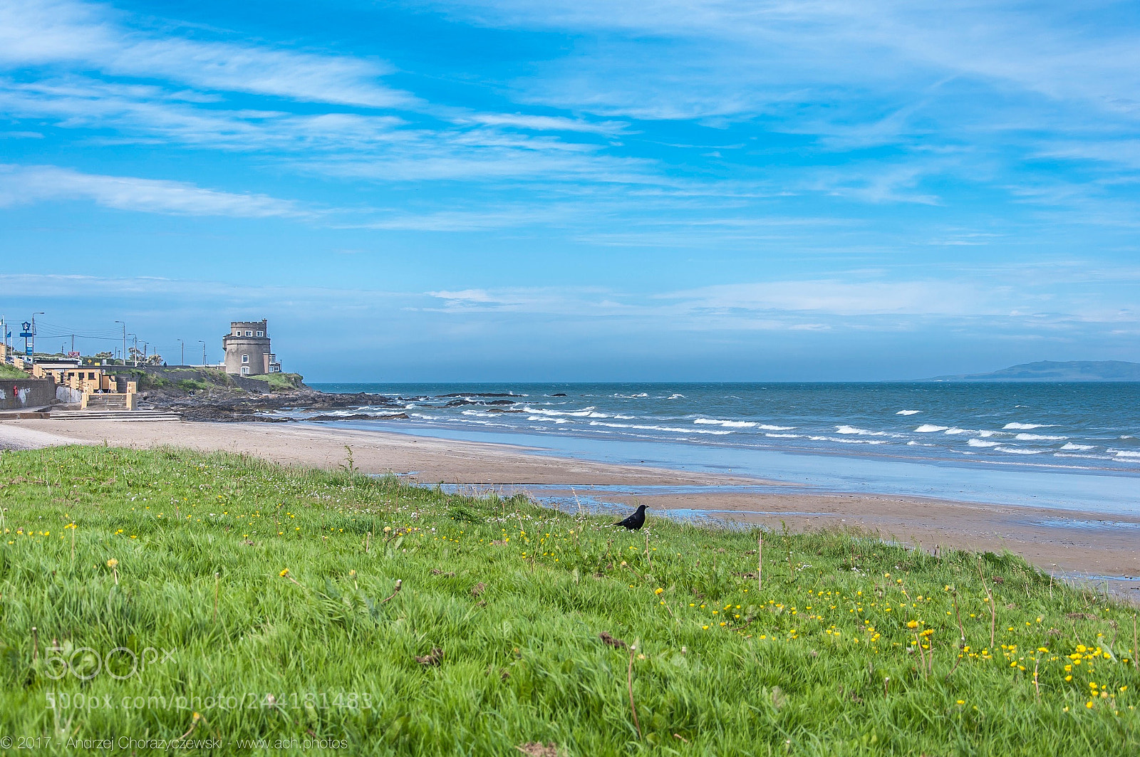 Nikon D90 sample photo. 2017 06 - summer in malahide photography