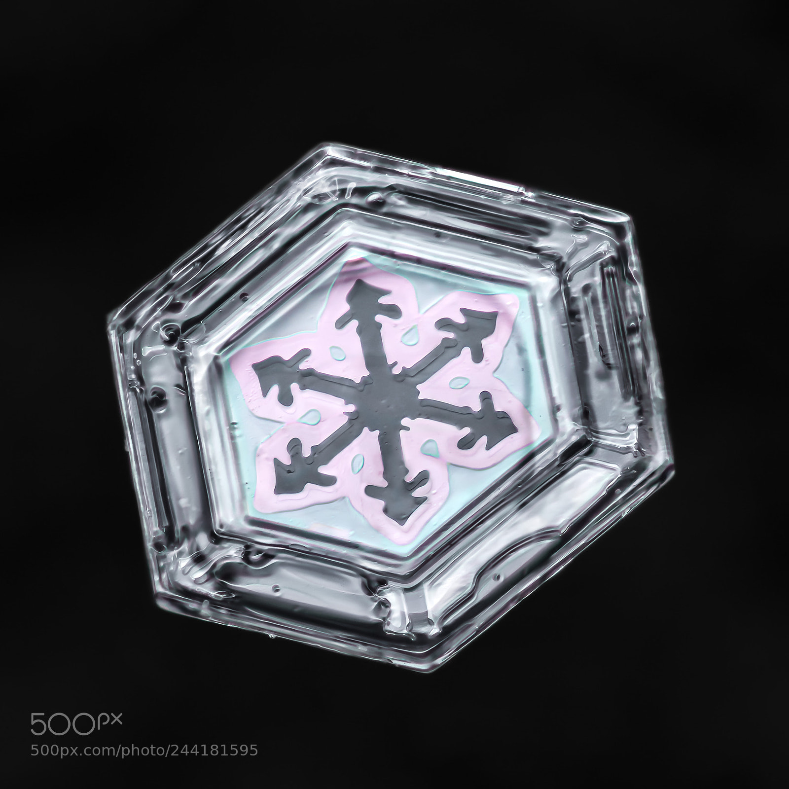 Canon EOS-1D X Mark II sample photo. Snowflake-a-day no. 42 photography