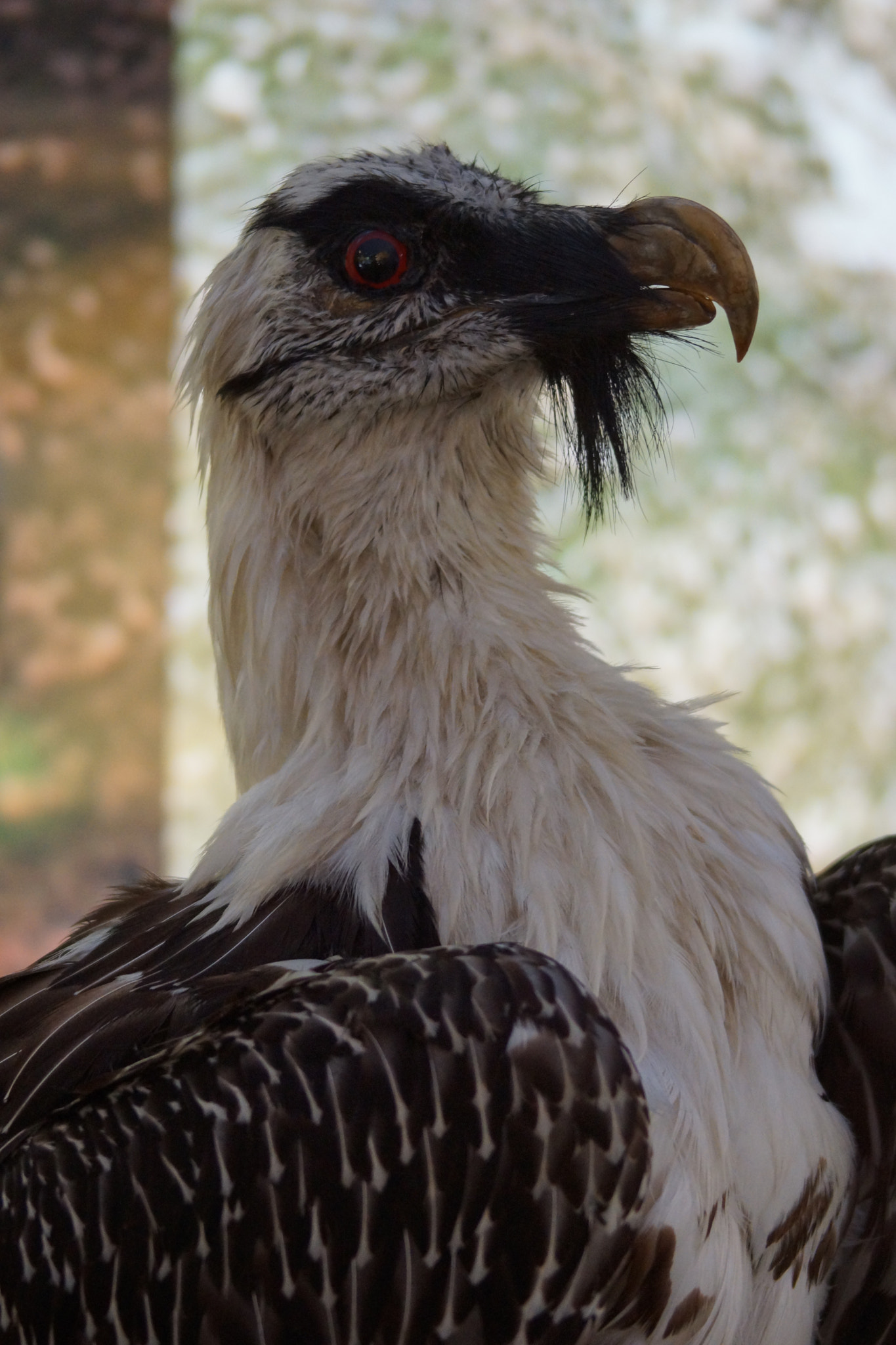 Sony 75-300mm F4.5-5.6 sample photo. Dsc photography