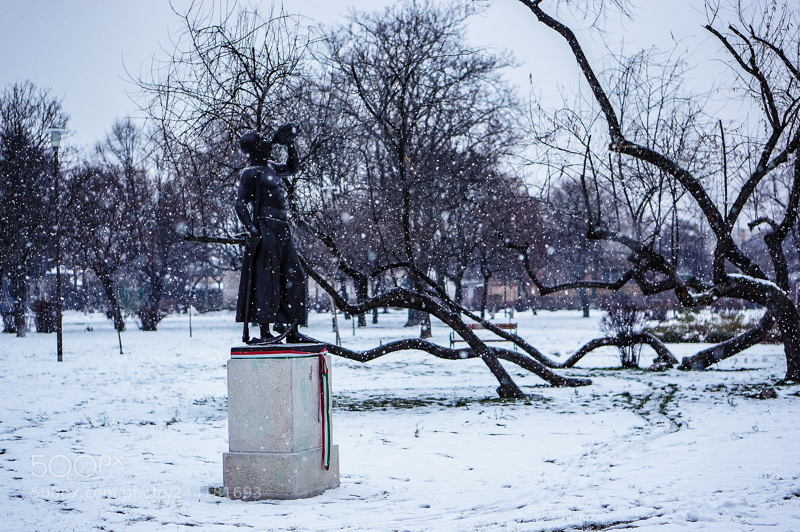 Sony Alpha NEX-5N sample photo. Snowing photography