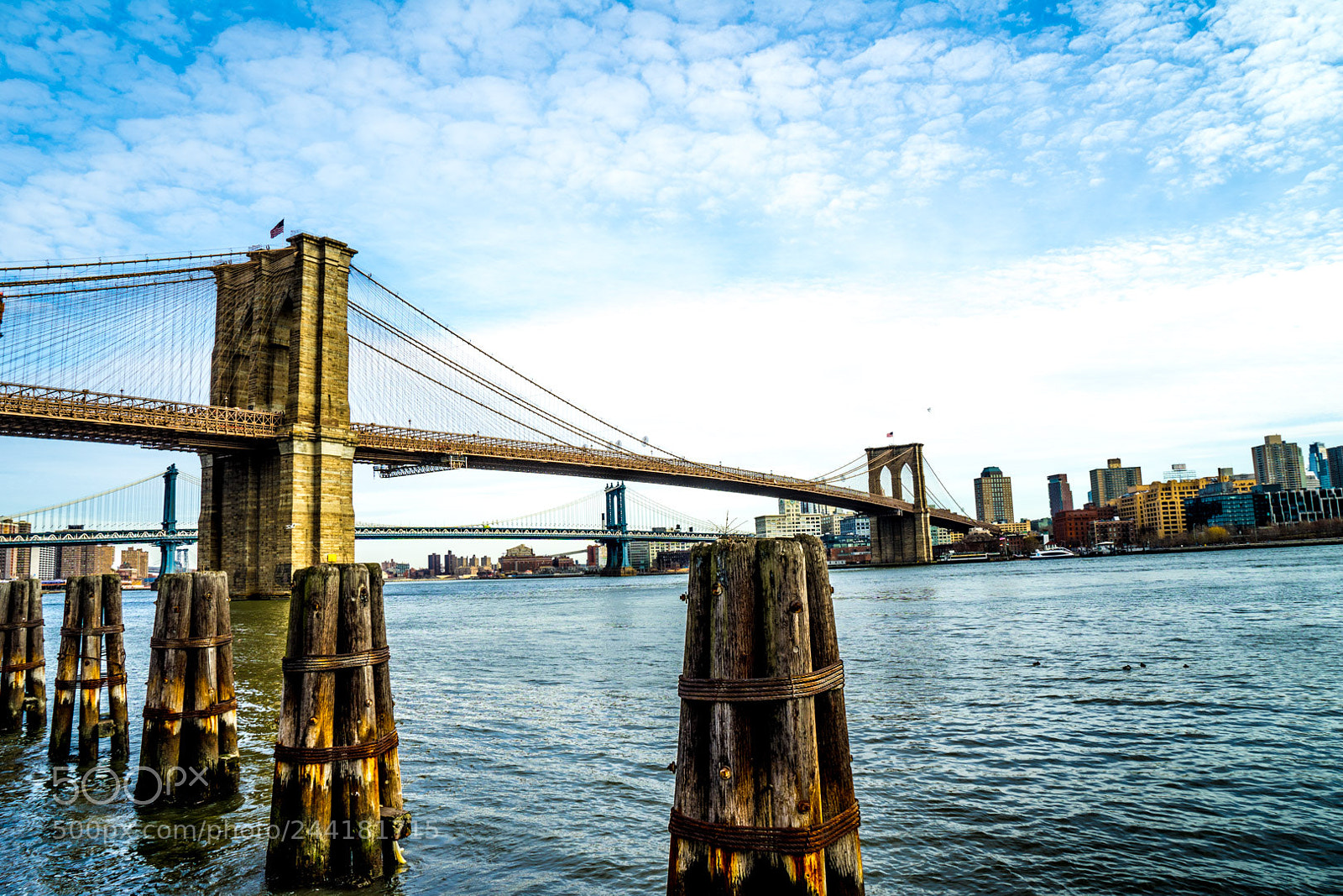 Sony a7 II sample photo. Spent the day in photography