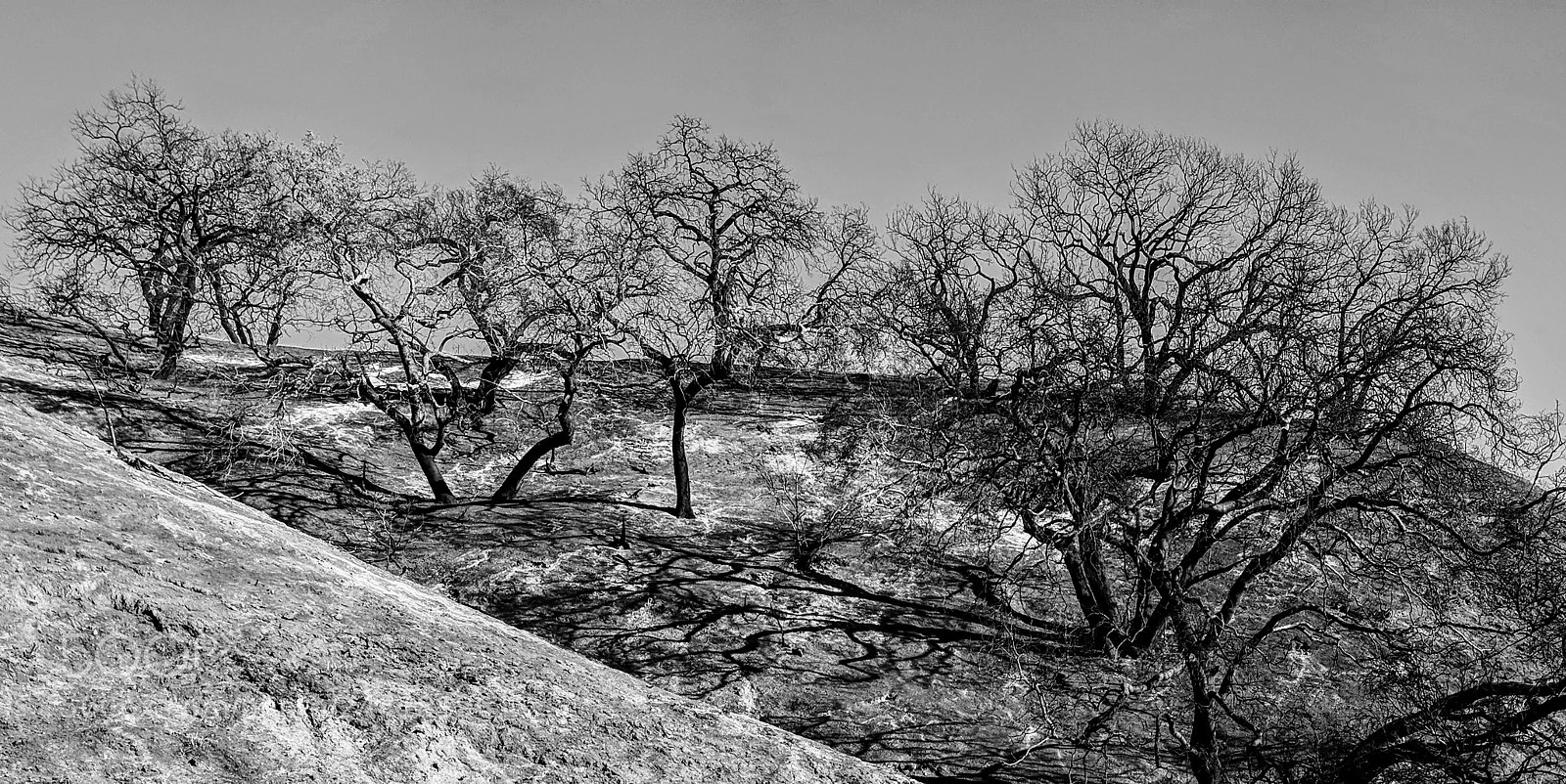 Google Pixel sample photo. Img_20180128_151535.jpg photography