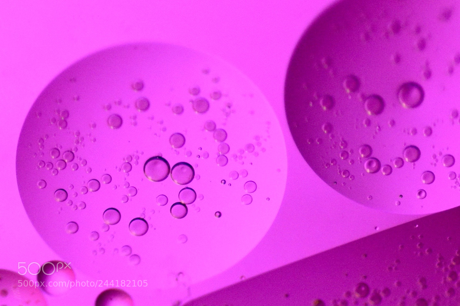 Nikon D3200 sample photo. Pink... photography