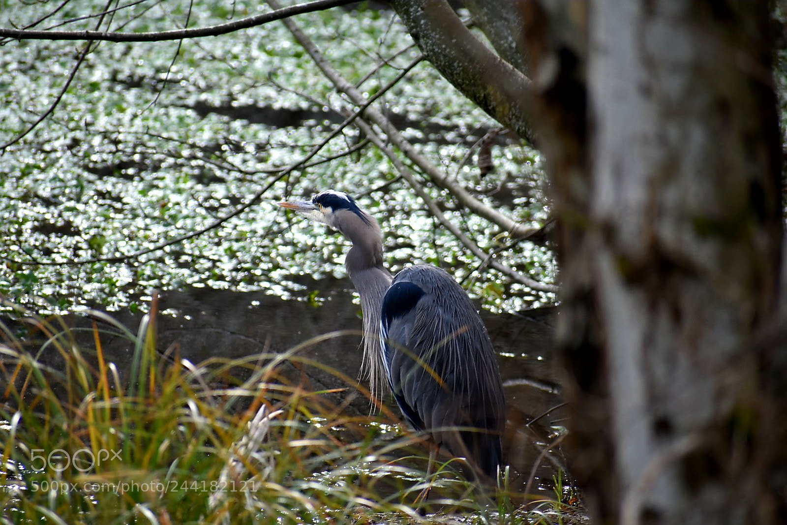 Nikon D3400 sample photo. Untitled photography